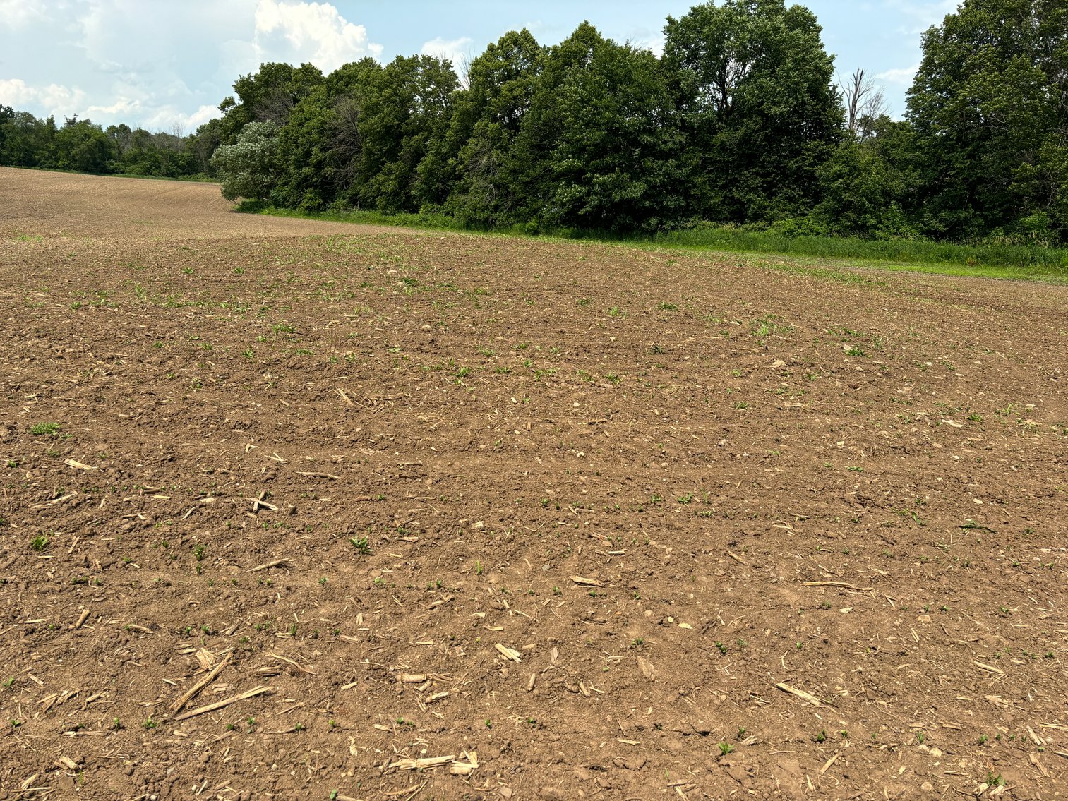 Image for 22 Acres Vacant Land, Kohlhoff Ln, Watertown For Sale by Online Bidding