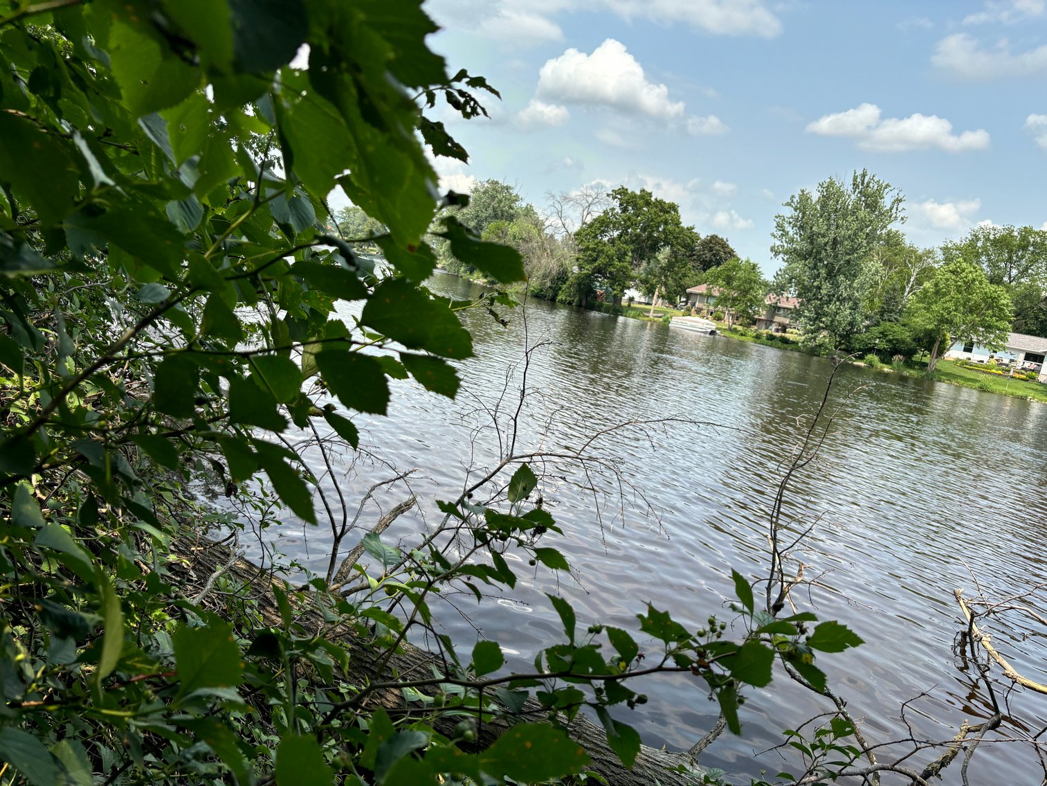 Image for 22 Acres Vacant Land, Kohlhoff Ln, Watertown For Sale by Online Bidding