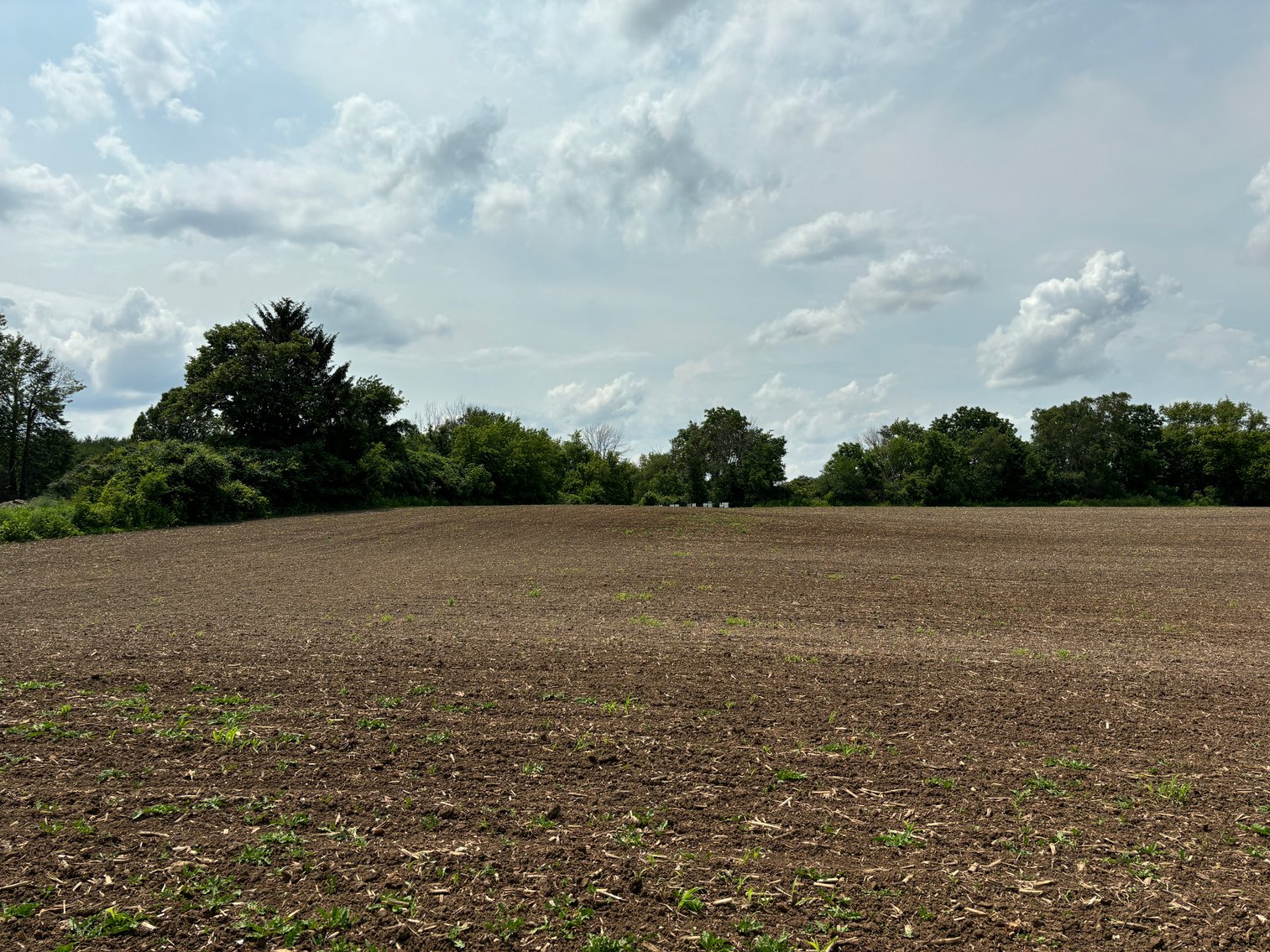 Image for 22 Acres Vacant Land, Kohlhoff Ln, Watertown For Sale by Online Bidding