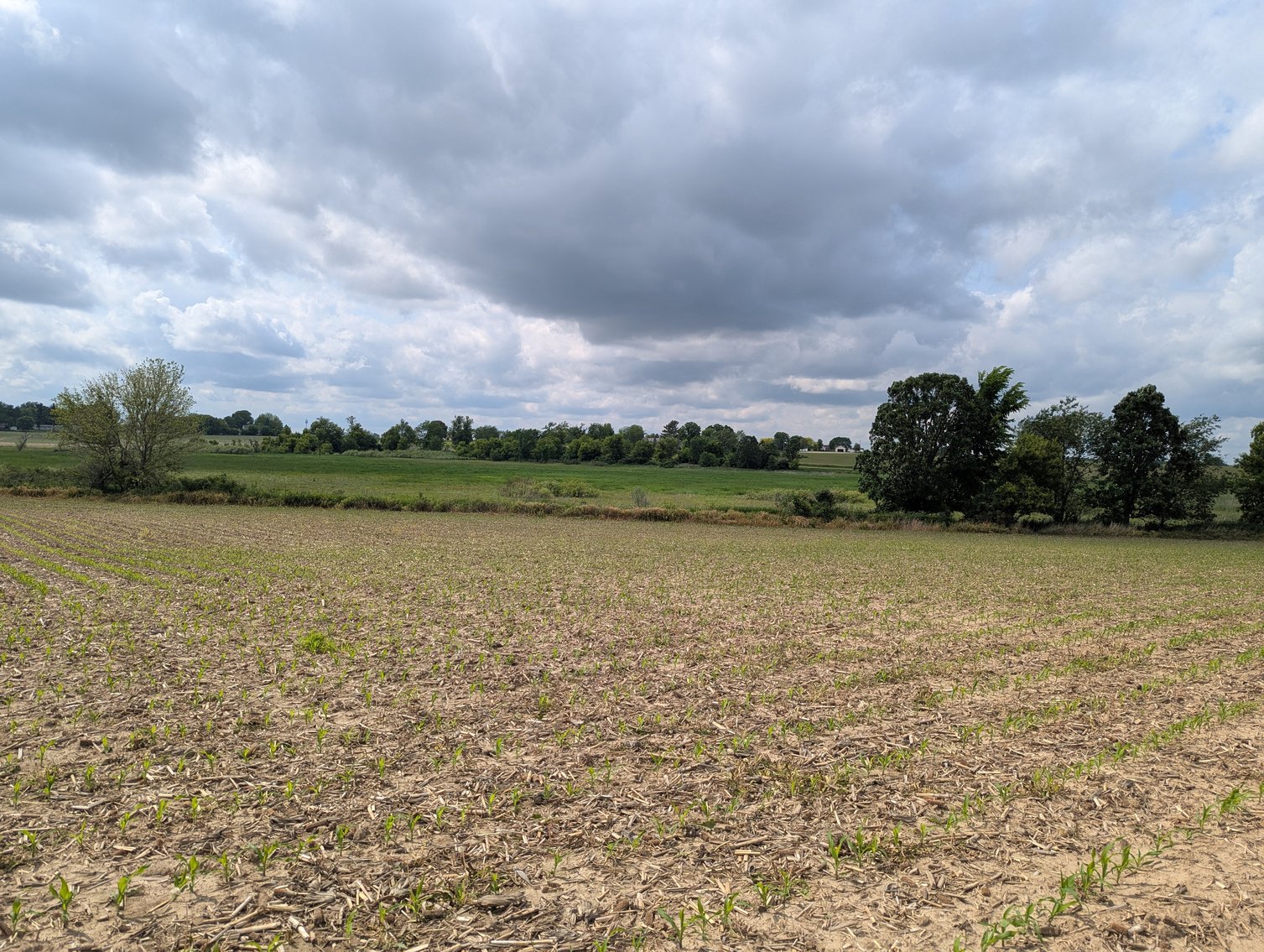 Image for Columbus, WI - 38 acre Vacant Land For Sale