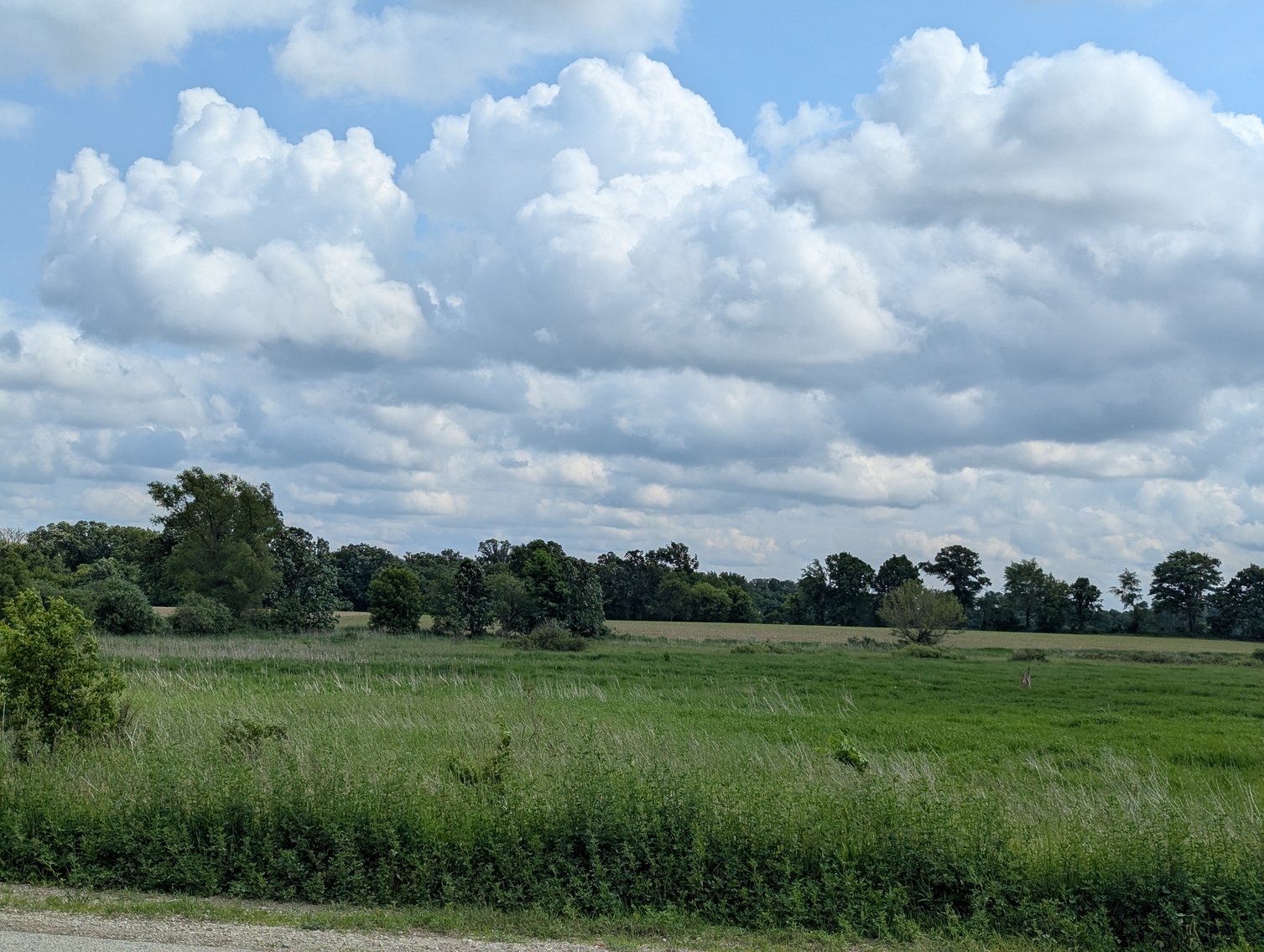 Image for Columbus, WI - 38 acre Vacant Land For Sale