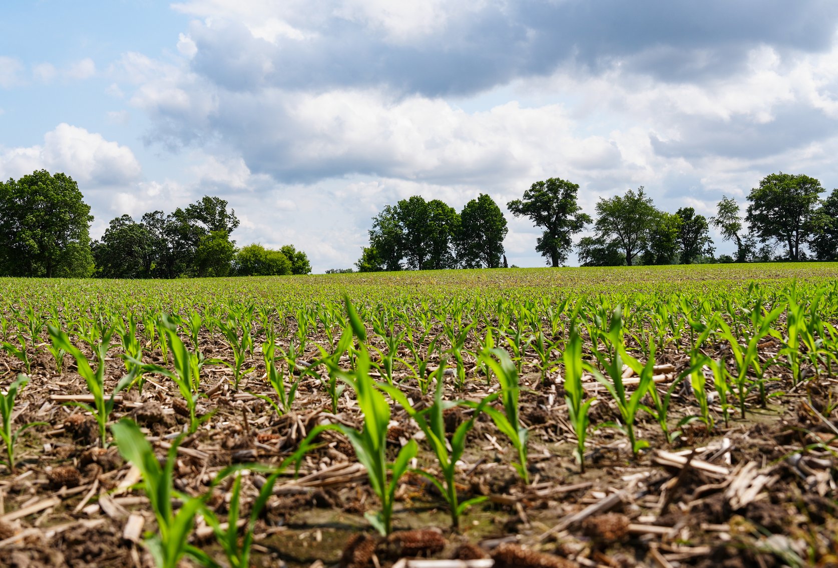 Image for Columbus, WI - 38 acre Vacant Land For Sale