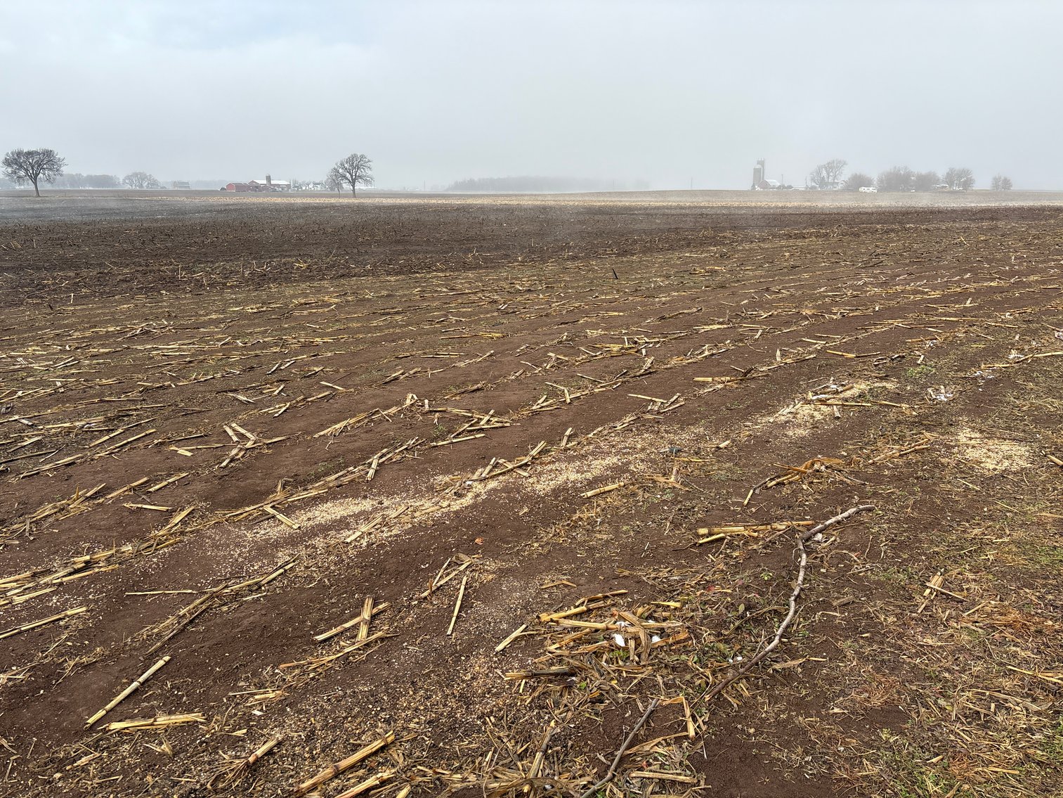 Image for Van Dyne Area 38-Acre Farm - Online Bidding