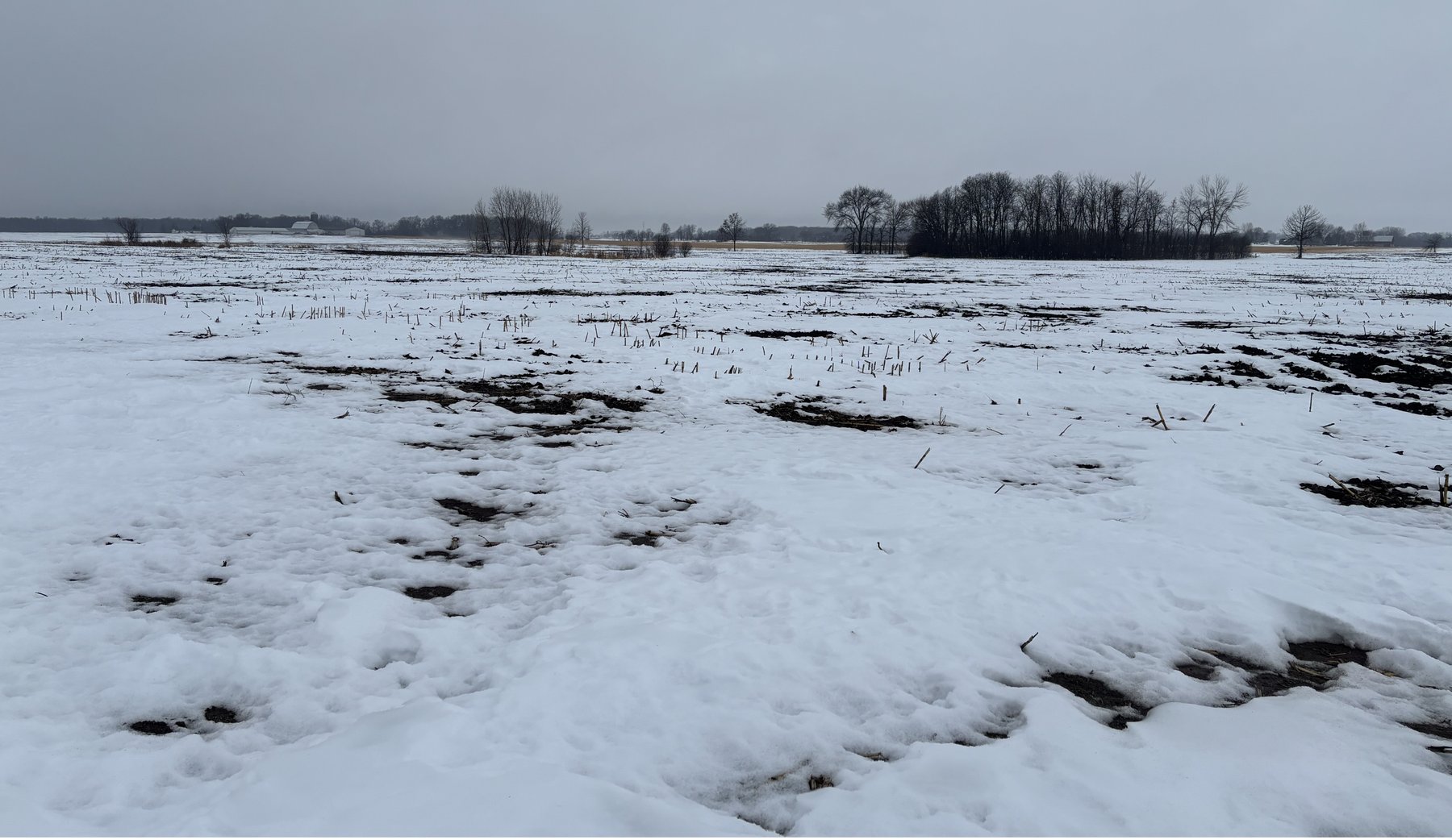 Image for Van Dyne Area 38-Acre Farm - Online Bidding