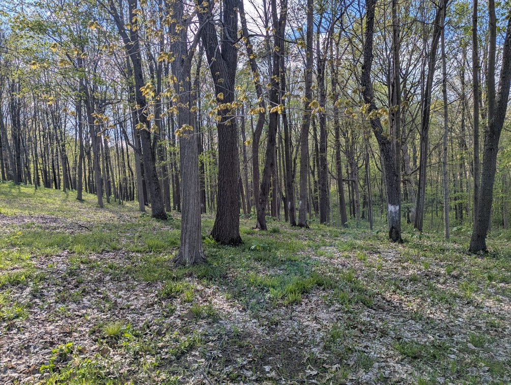 Image for N3869 Rome Rd. Rubicon, WI 53078
