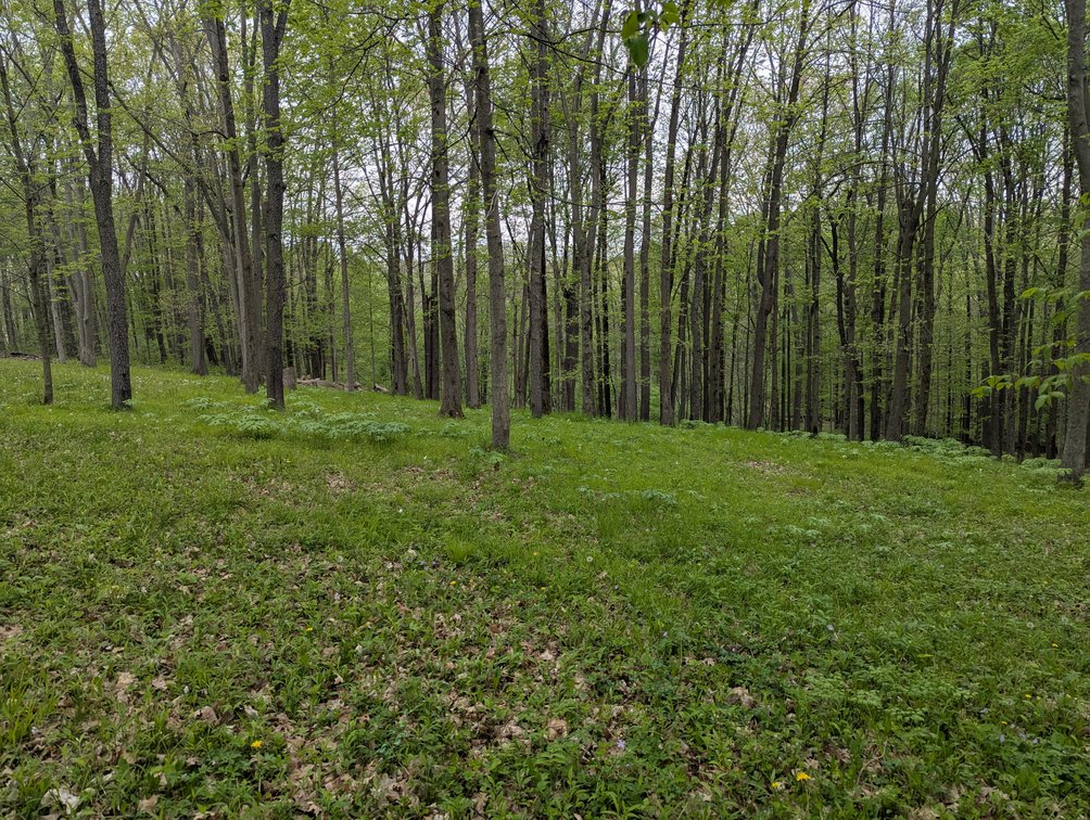 Image for N3869 Rome Rd. Rubicon, WI 53078
