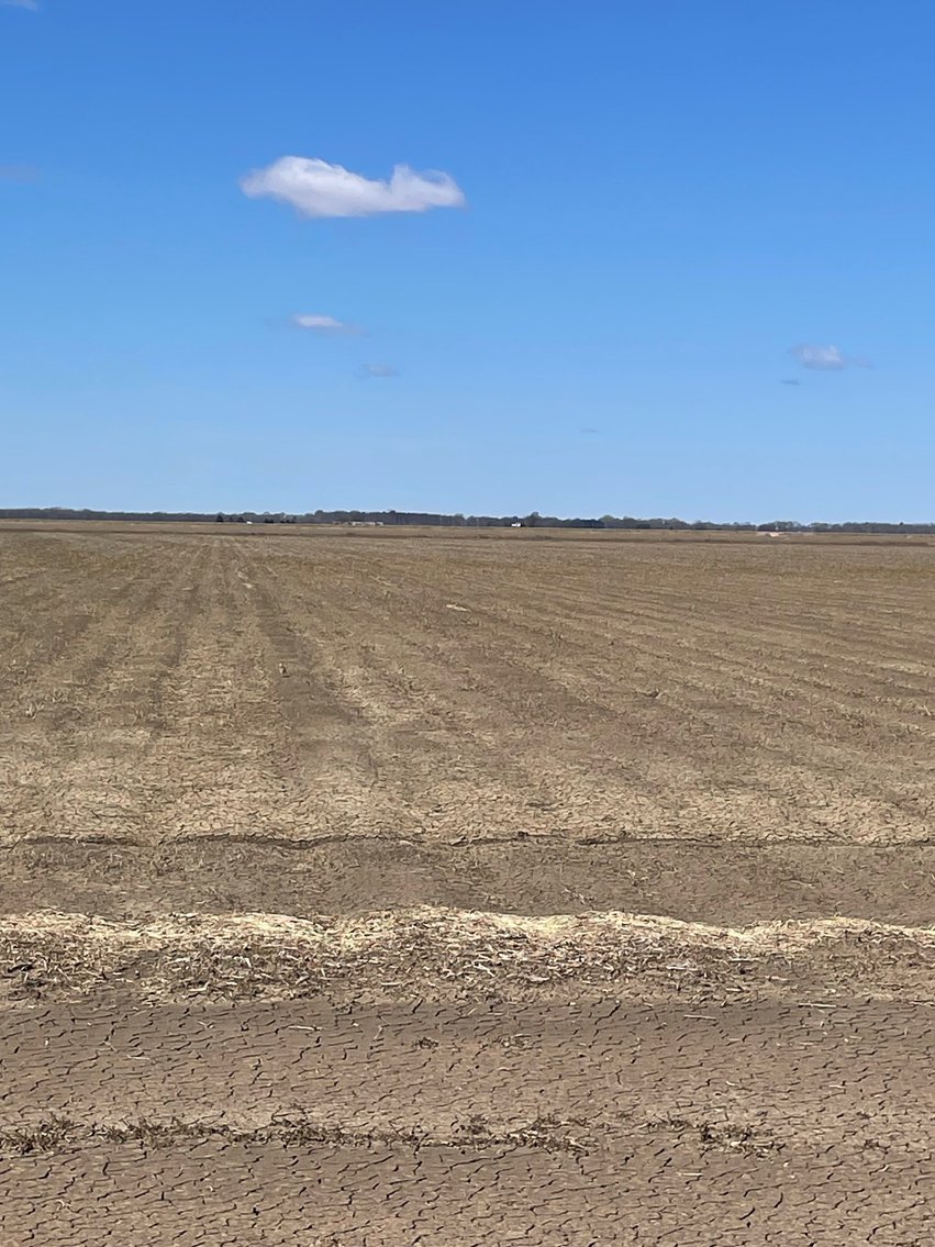 Image for Chicot County 280