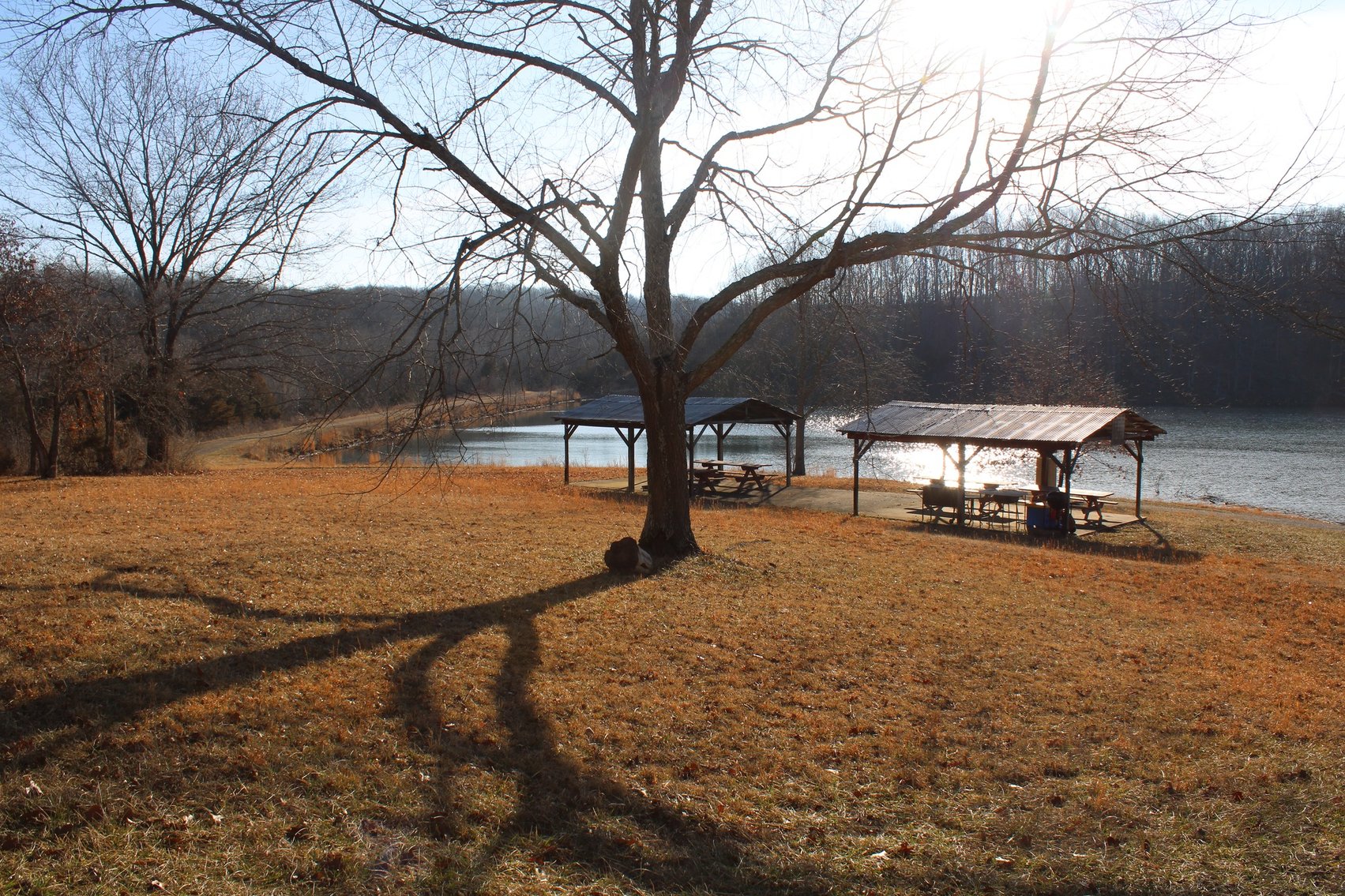 Image for 10.2 +/- Acres, Hidden Valley Lane, Ste Genevieve, MO 63670 (MLS # 24008829)