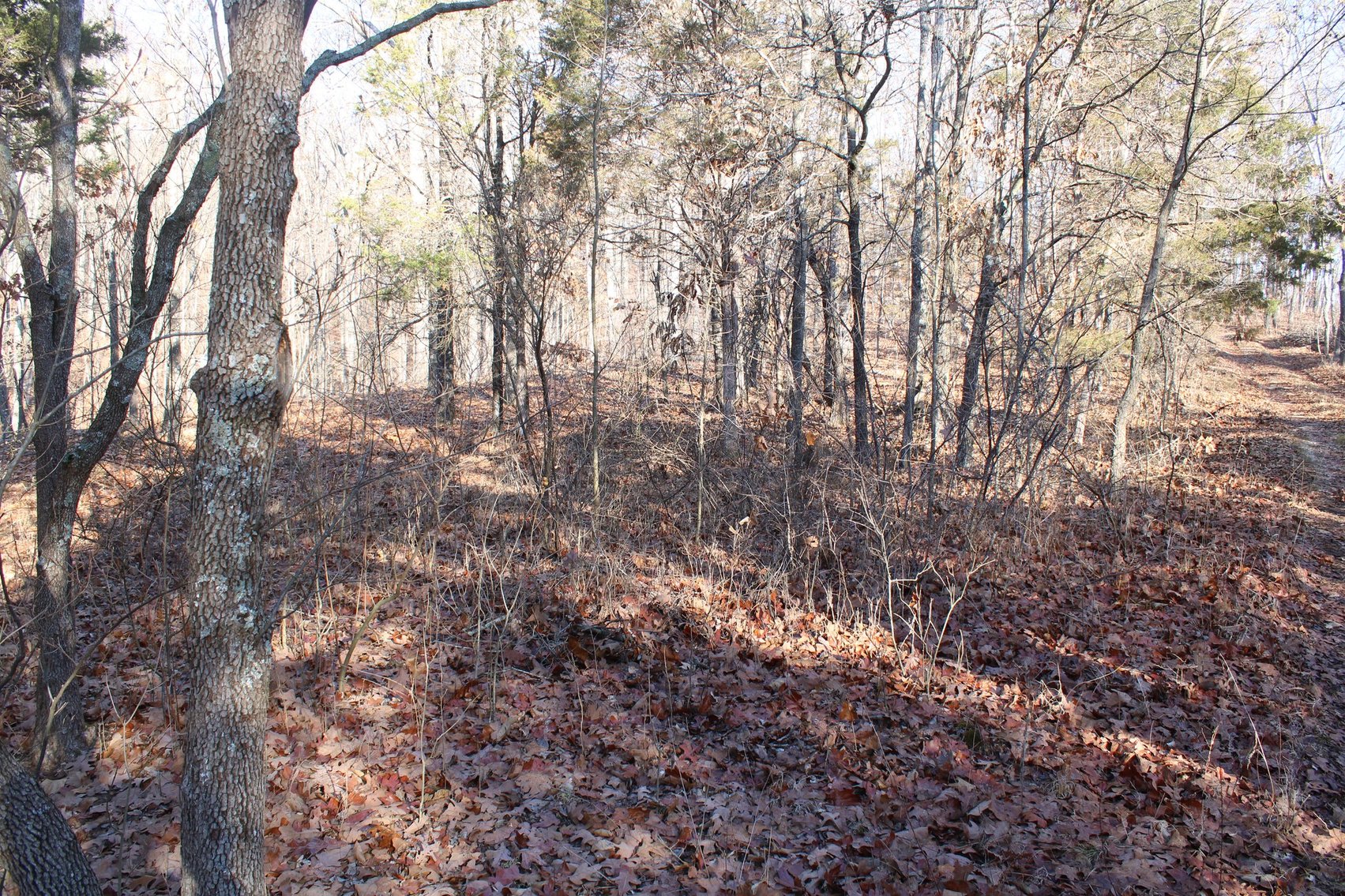 Image for 10.2 +/- Acres, Hidden Valley Lane, Ste Genevieve, MO 63670 (MLS # 24008829)