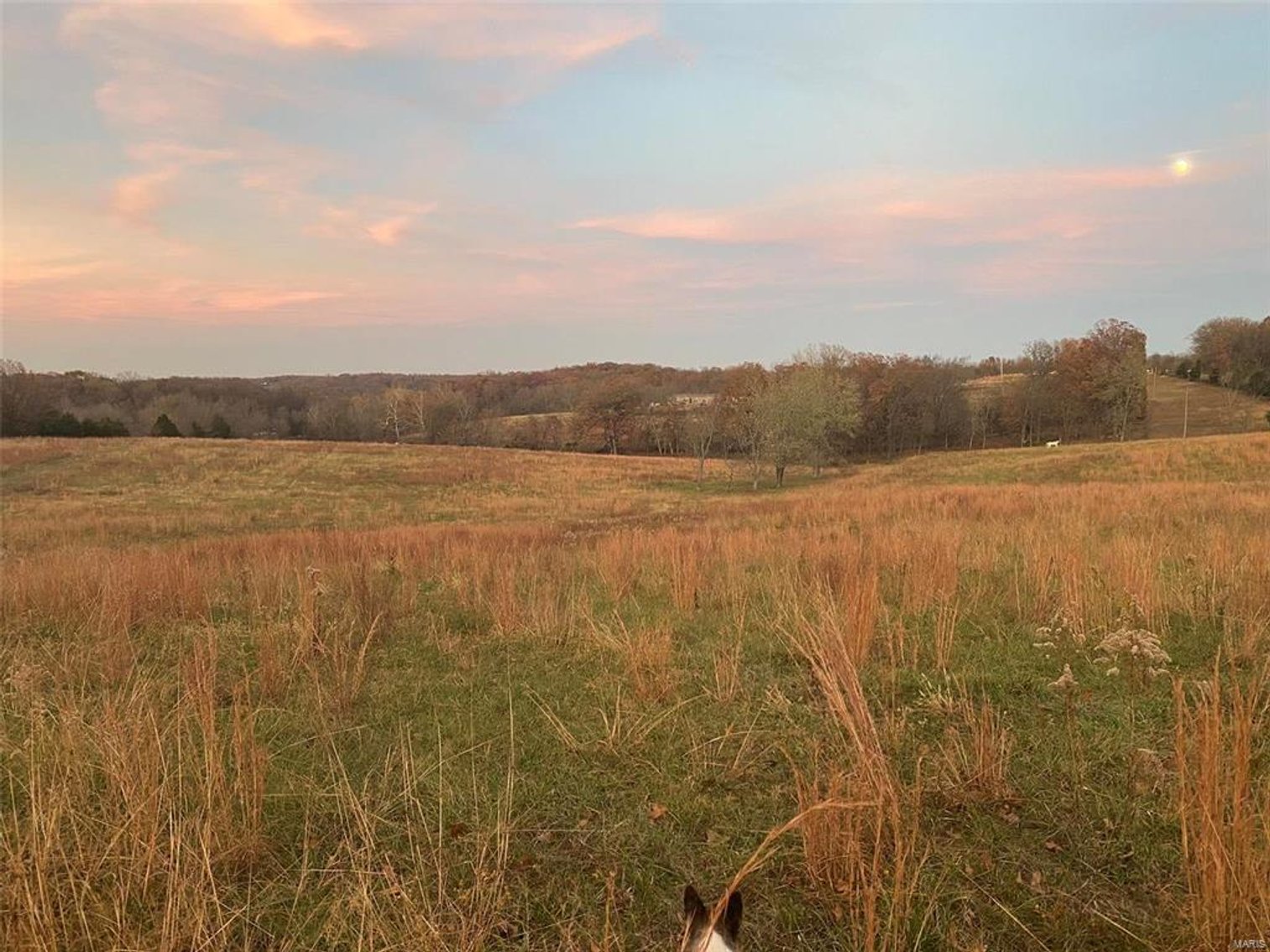 Image for 17.15 Acres M/L, 14351 Hwy KK Sedgewickville, MO 63781, MLS 23056783