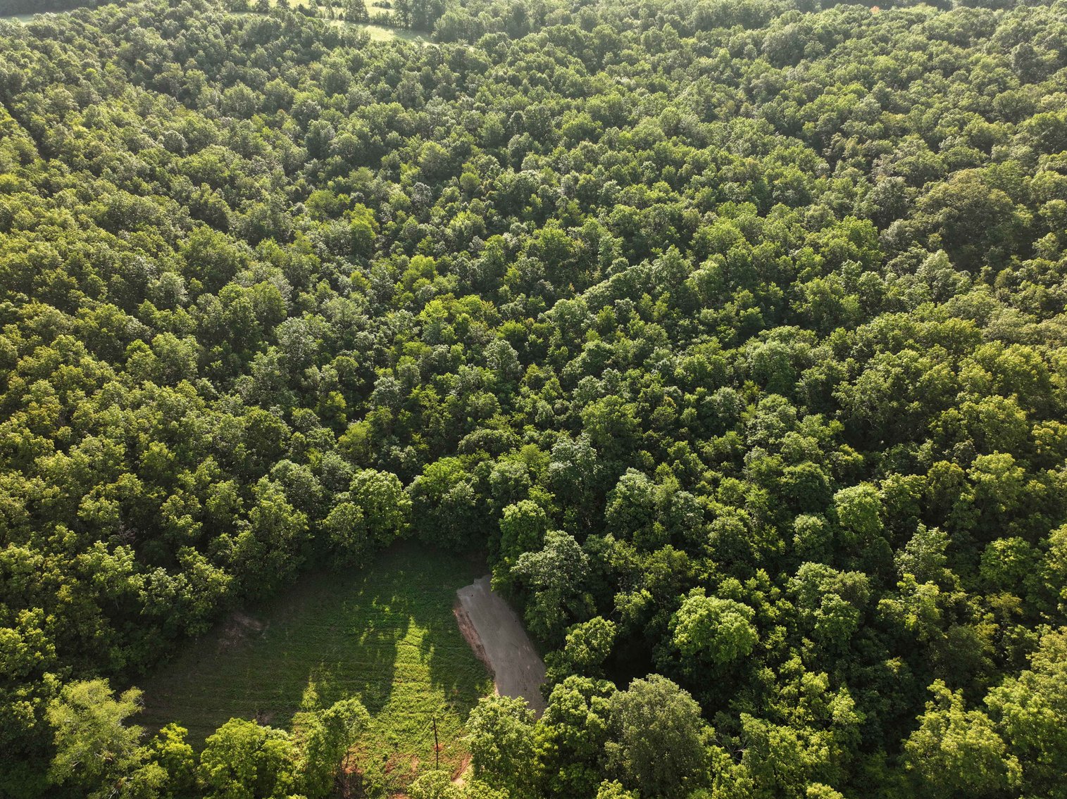 Image for Tract 2, 31.37 Acres, BCR 306 Marble Hill, MO 63764 MLS #2444129