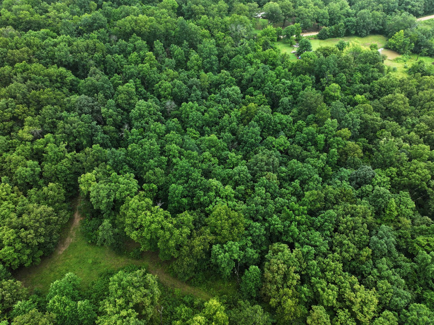 Image for 19.43 Acres M/L, BCR 500 Marble Hill, MO, 63764, MLS #24044744