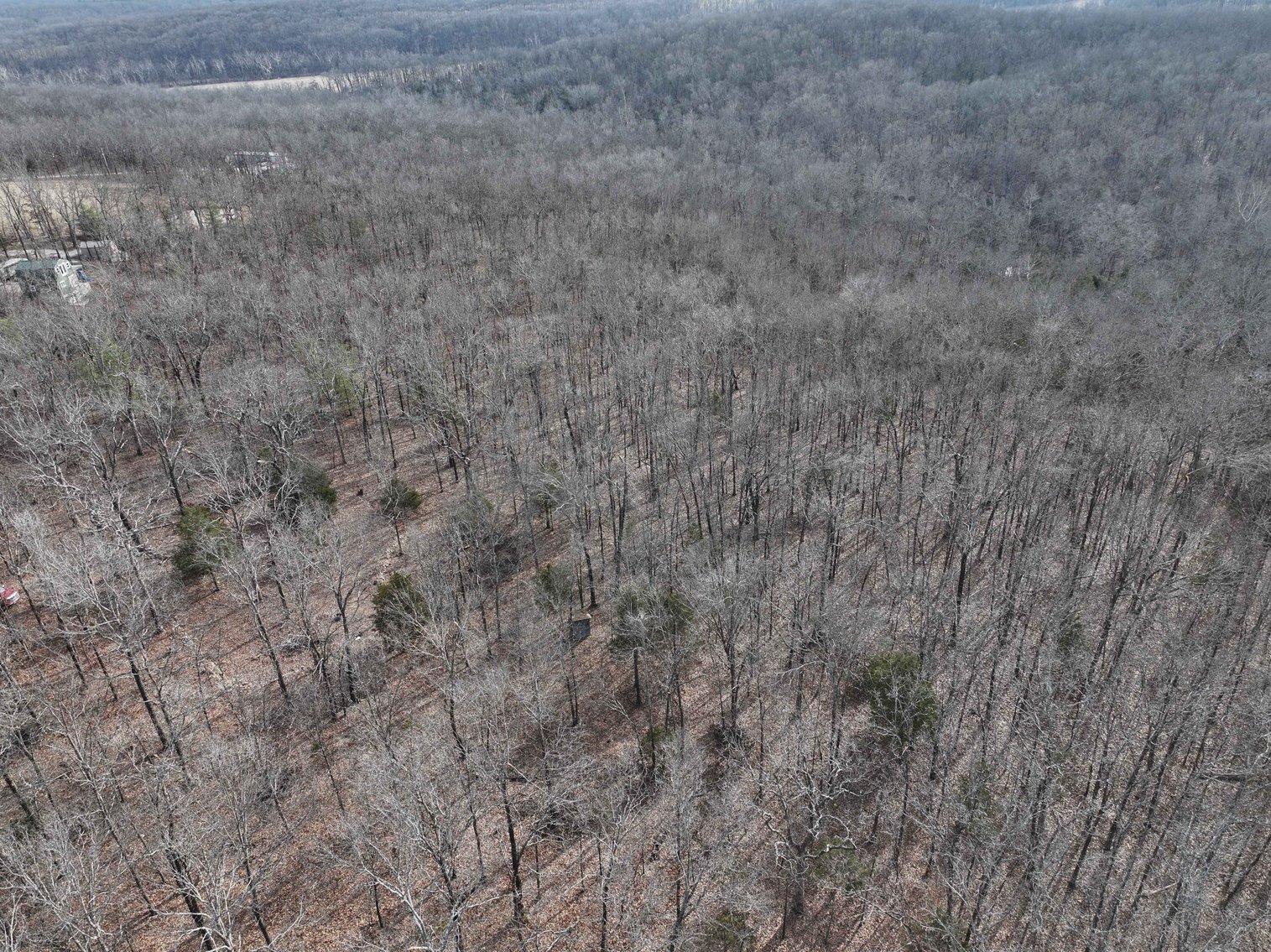 Image for 6.9 Acres +/-, Lot 27 Hickory Hollow Estates PCR 860, St Mary, MO 63673, MLS#25007743