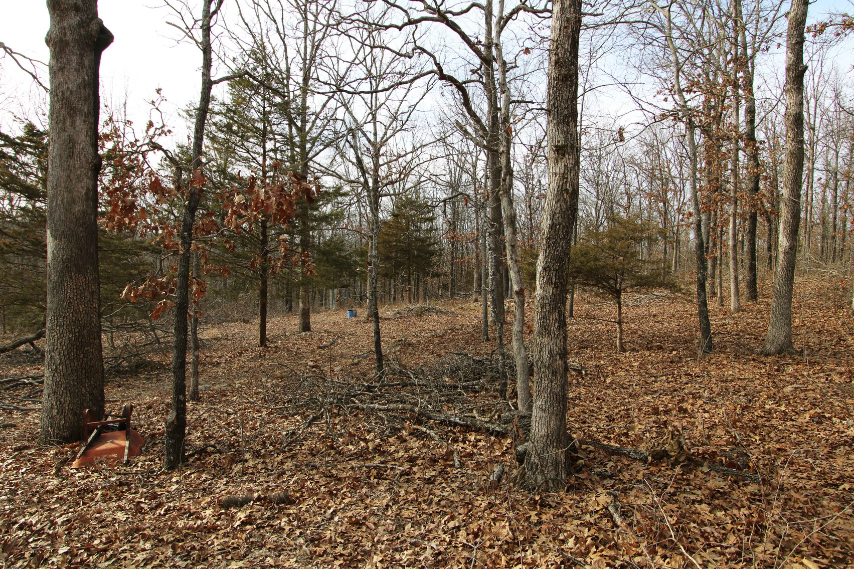 Image for 6.9 Acres +/-, Lot 27 Hickory Hollow Estates PCR 860, St Mary, MO 63673, MLS#25007743
