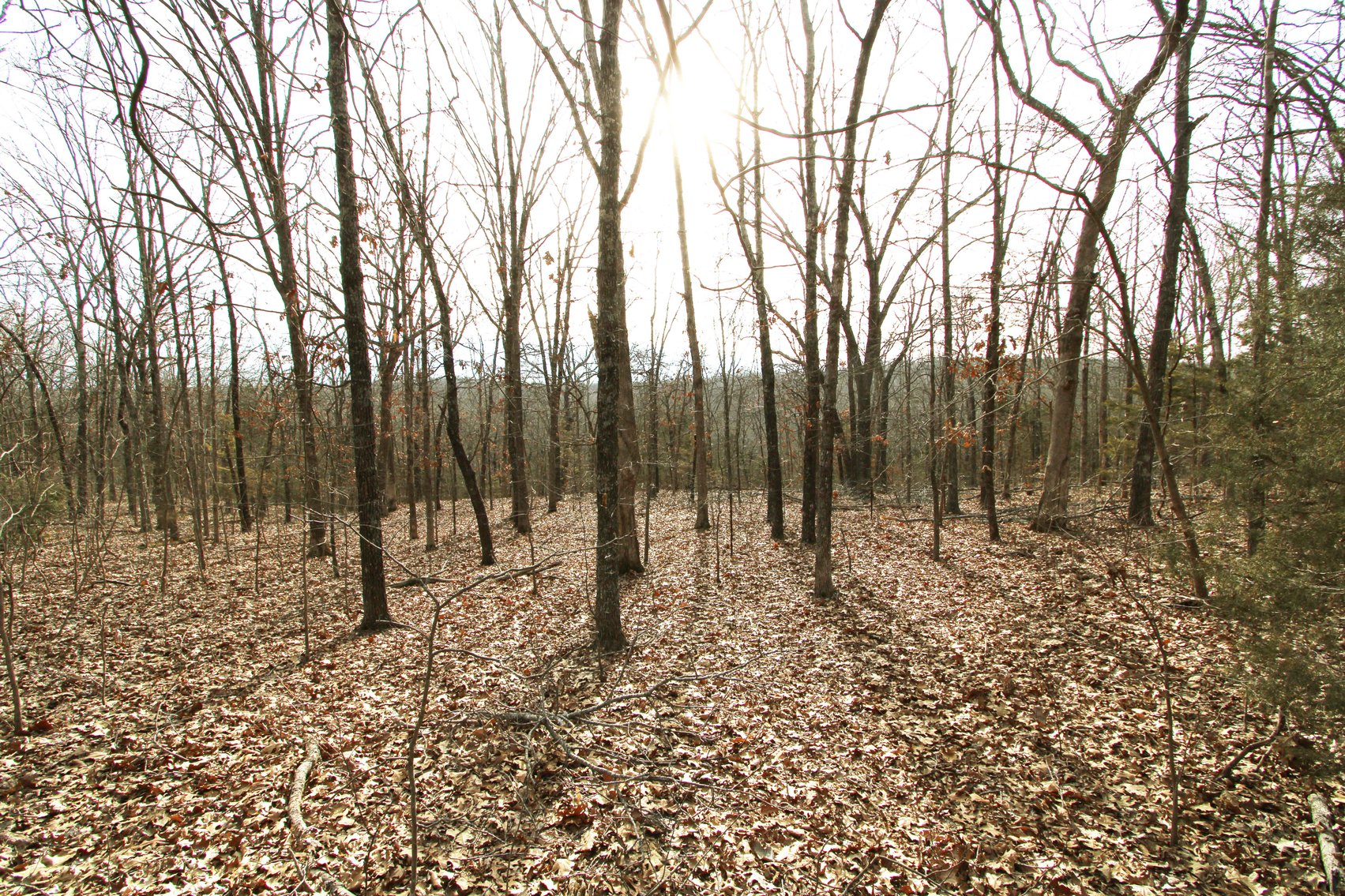 Image for 6.9 Acres +/-, Lot 27 Hickory Hollow Estates PCR 860, St Mary, MO 63673, MLS#25007743