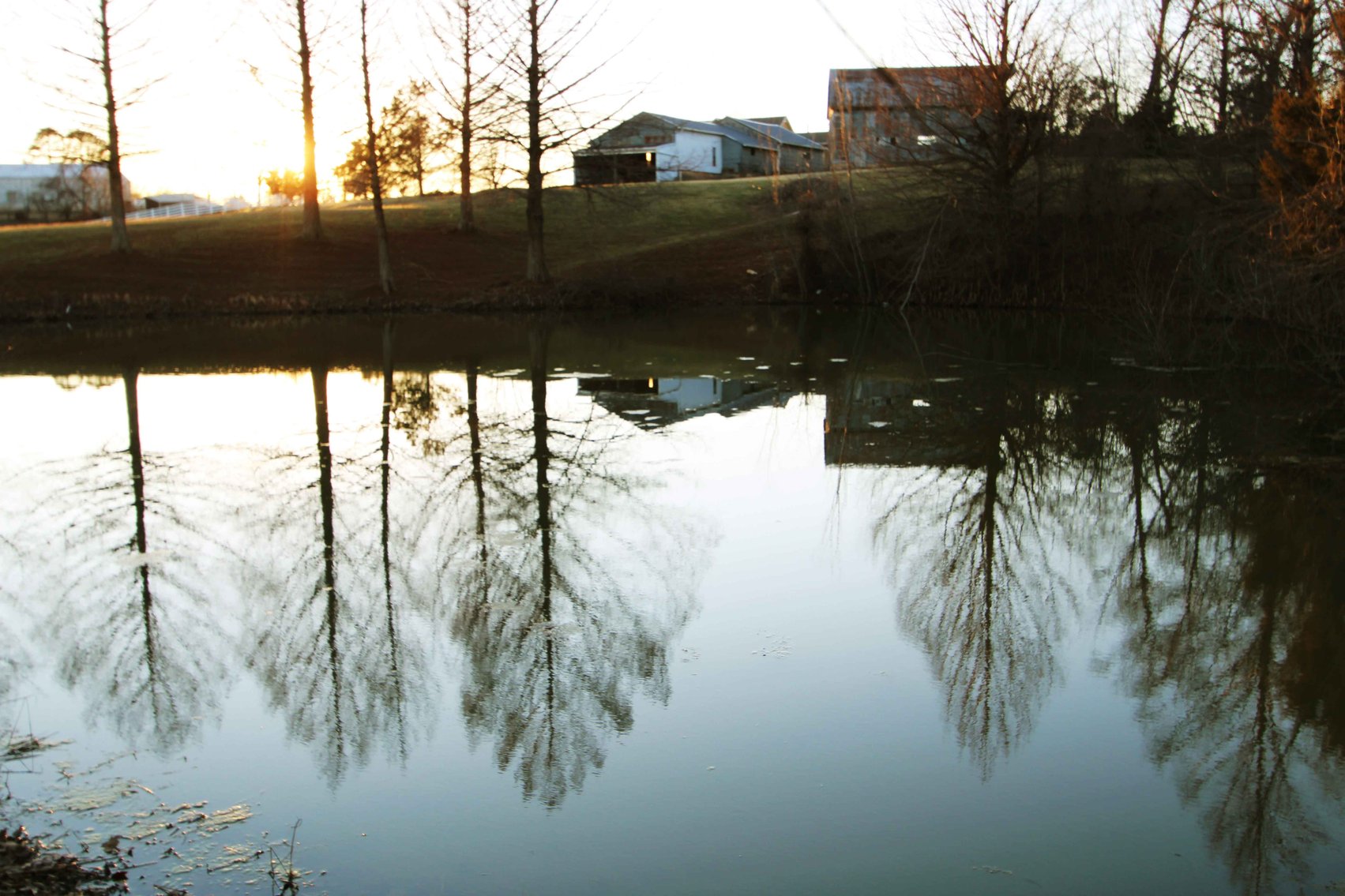 Image for 9.07 Ac m/l, 9997 Main St, Altenburg MO 63732, MLS# 25011860