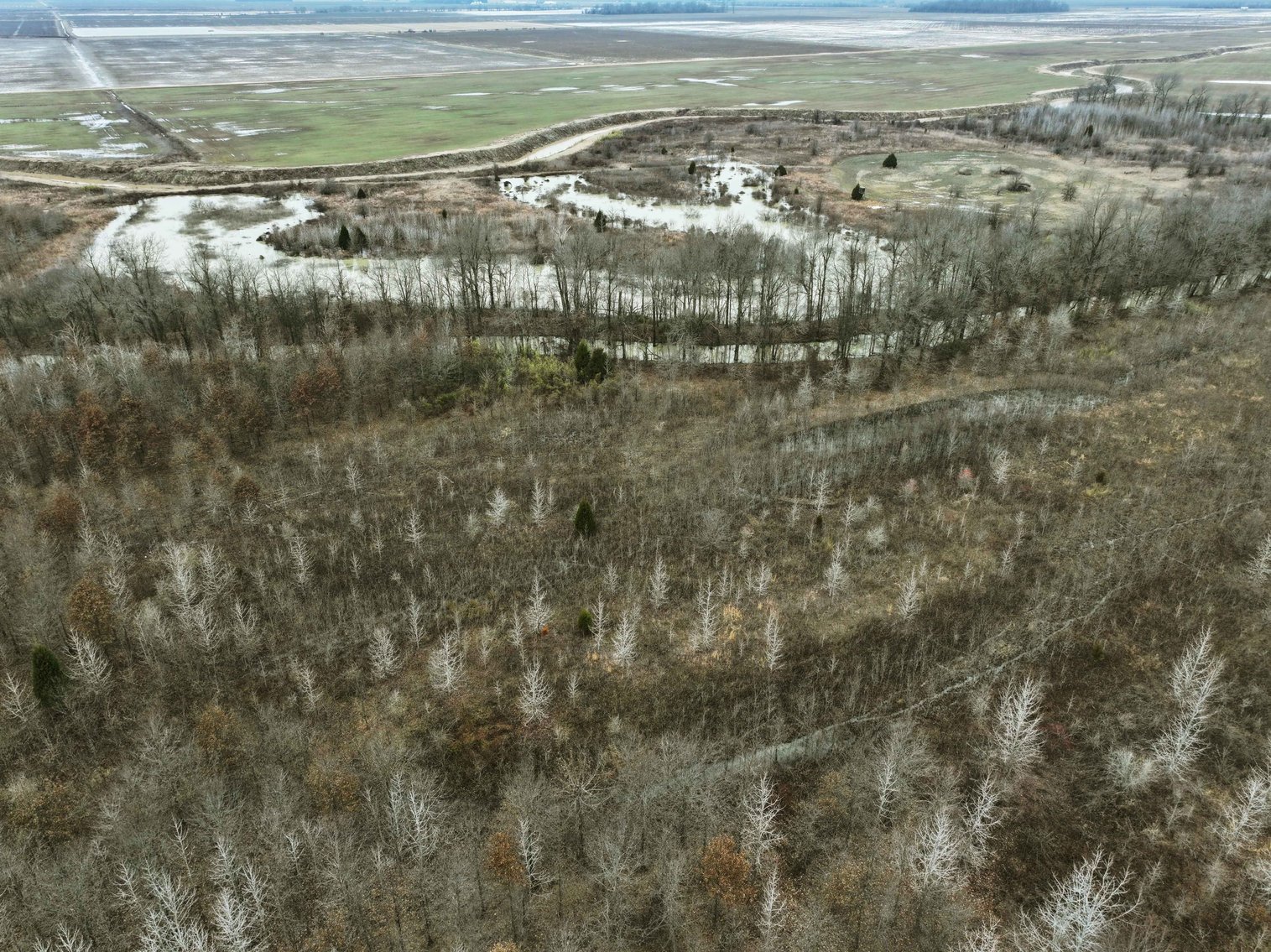 Image for 163.02 Acres +/-, County Line Road 832, Sikeston, MO 63801, MLS #25014302
