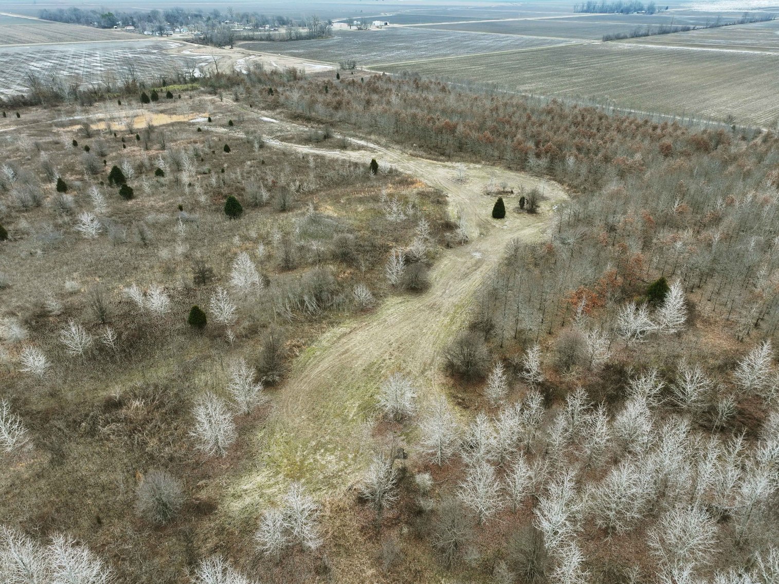 Image for 163.02 Acres +/-, County Line Road 832, Sikeston, MO 63801, MLS #25014302