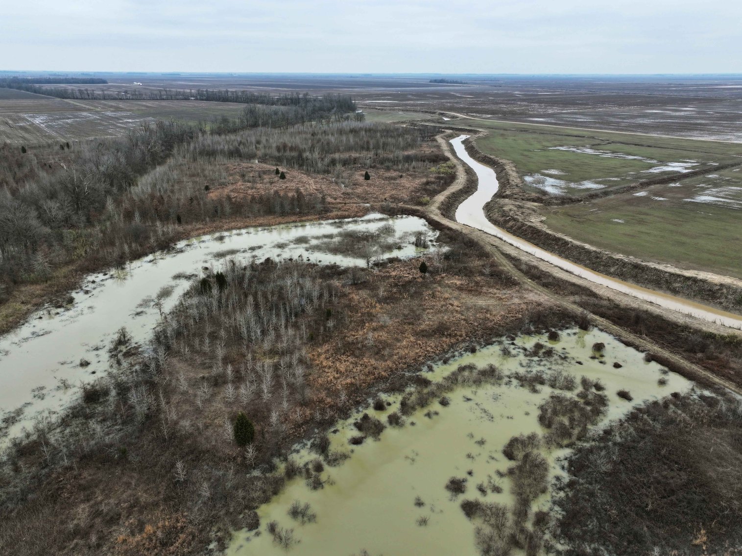 Image for 163.02 Acres +/-, County Line Road 832, Sikeston, MO 63801, MLS #25014302