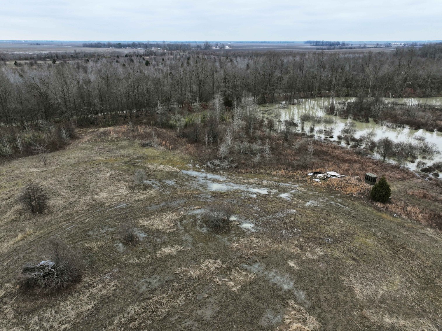 Image for 163.02 Acres +/-, County Line Road 832, Sikeston, MO 63801, MLS #25014302