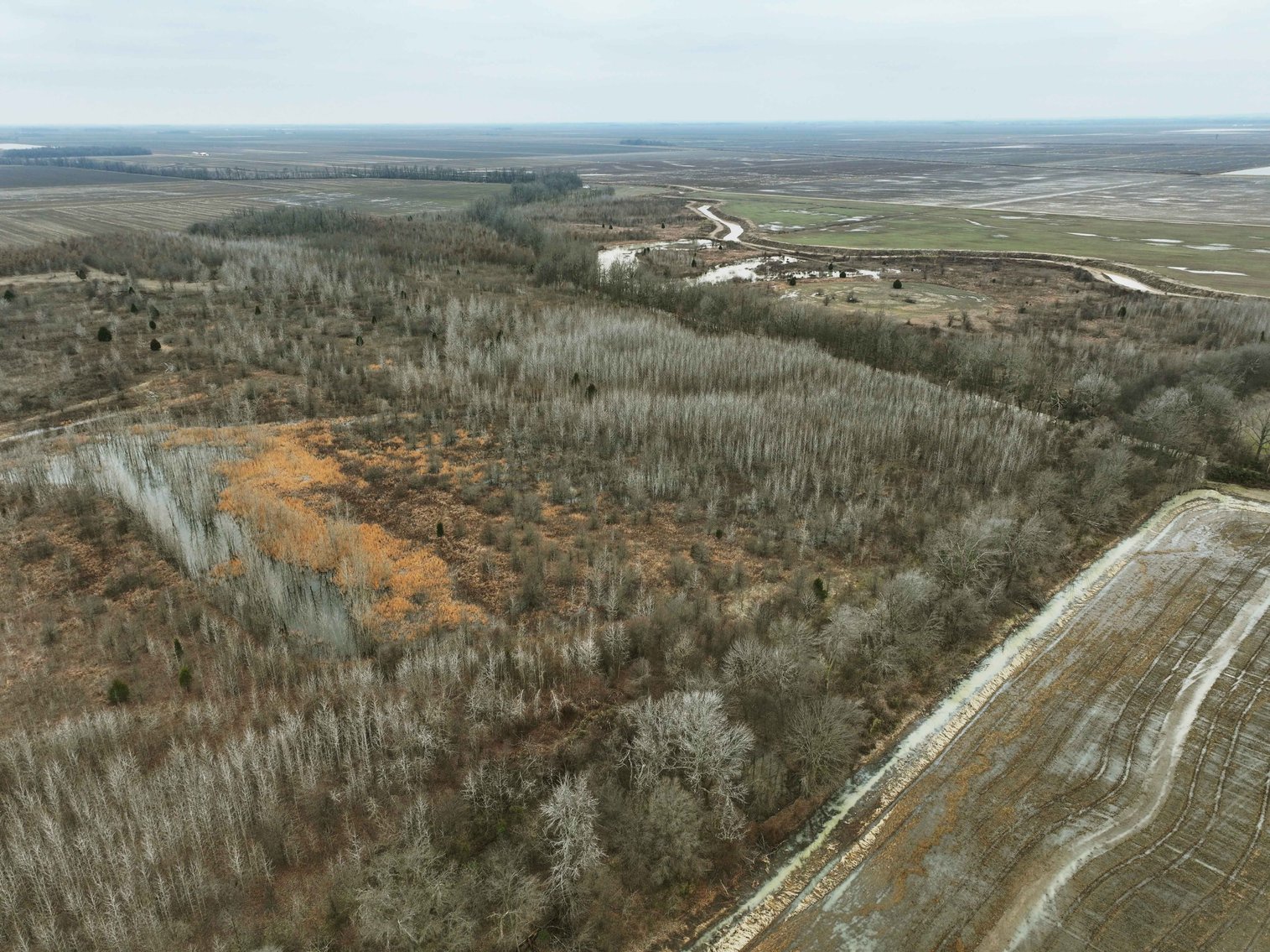 Image for 163.02 Acres +/-, County Line Road 832, Sikeston, MO 63801, MLS #25014302