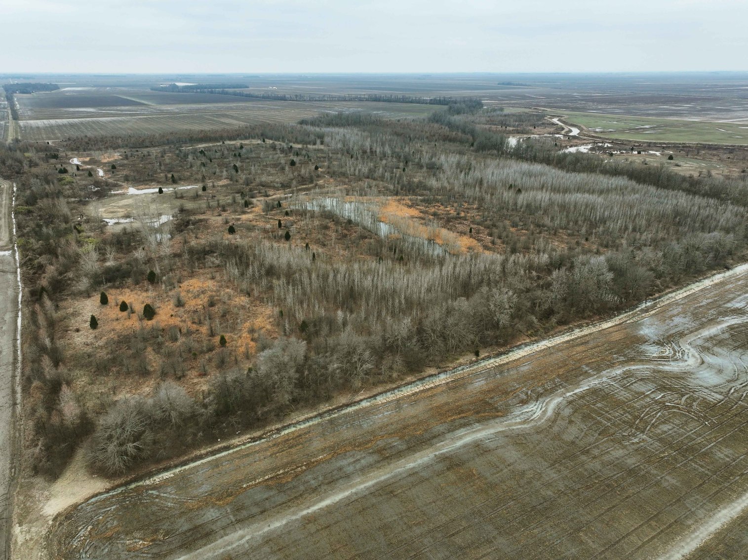 Image for 163.02 Acres +/-, County Line Road 832, Sikeston, MO 63801, MLS #25014302
