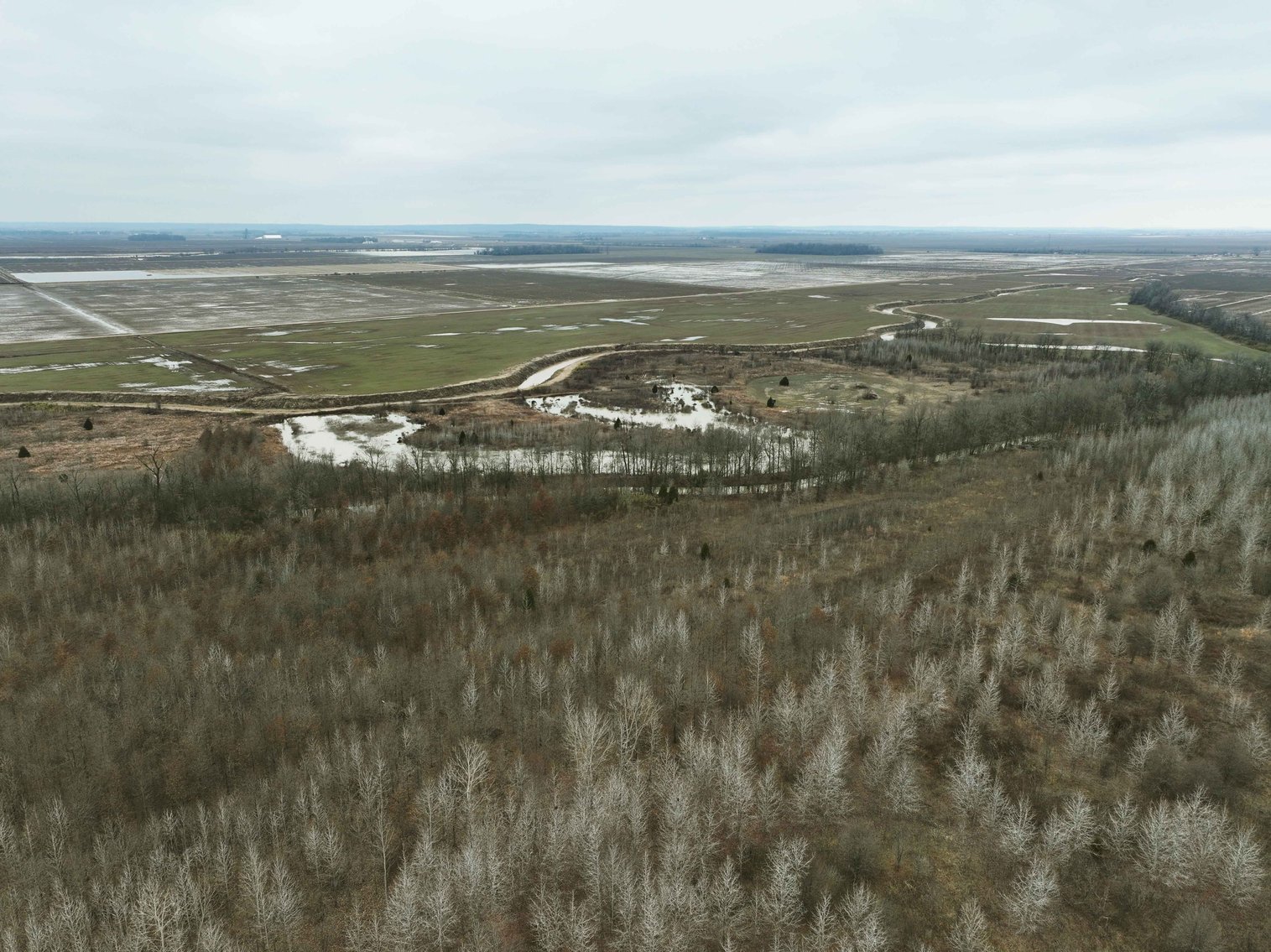 Image for 163.02 Acres +/-, County Line Road 832, Sikeston, MO 63801, MLS #25014302