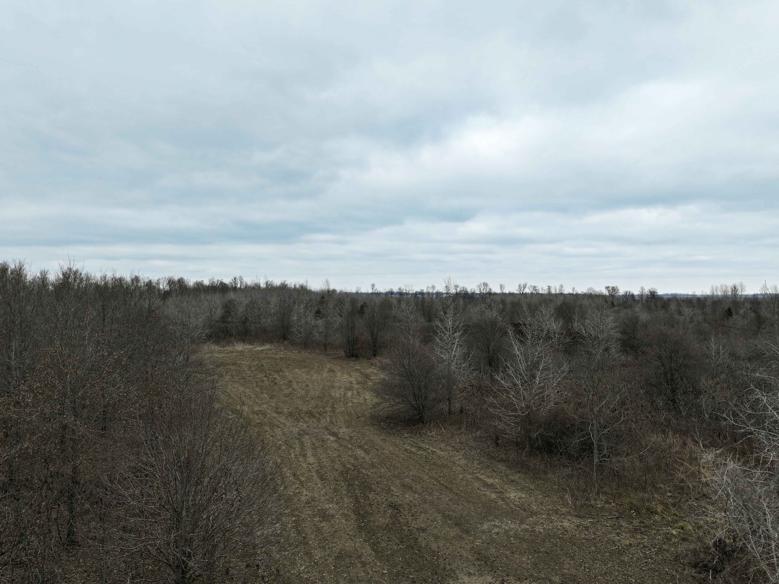 Image for 163.02 Acres +/-, County Line Road 832, Sikeston, MO 63801, MLS #25014302