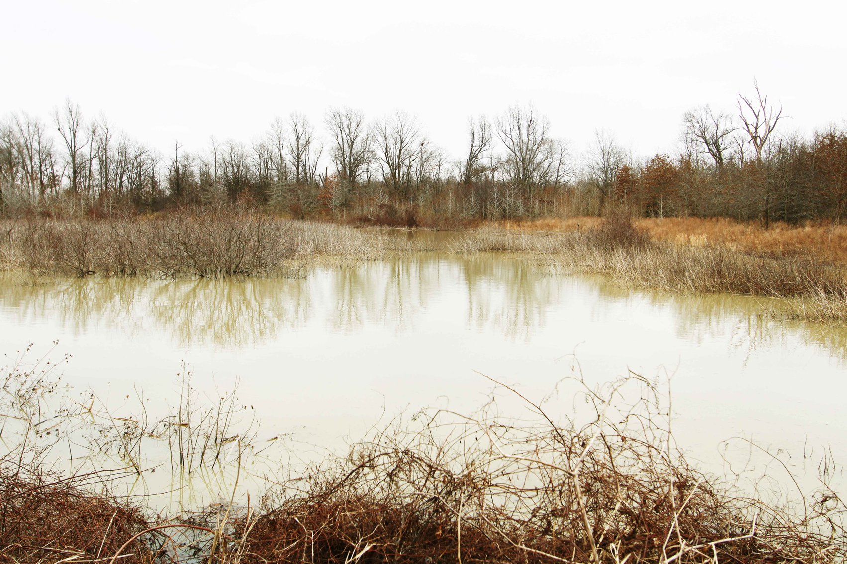 Image for 163.02 Acres +/-, County Line Road 832, Sikeston, MO 63801, MLS #25014302