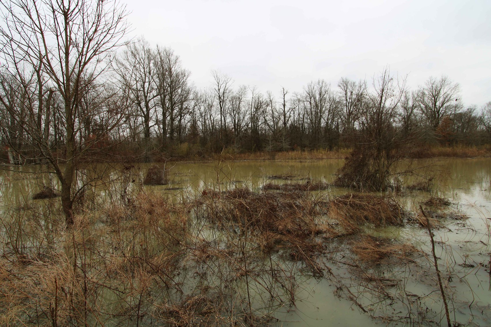 Image for 163.02 Acres +/-, County Line Road 832, Sikeston, MO 63801, MLS #25014302