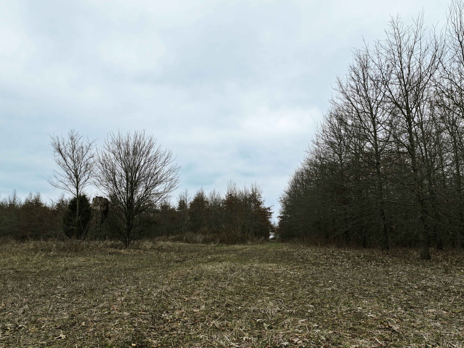 Image for 163.02 Acres +/-, County Line Road 832, Sikeston, MO 63801, MLS #25014302