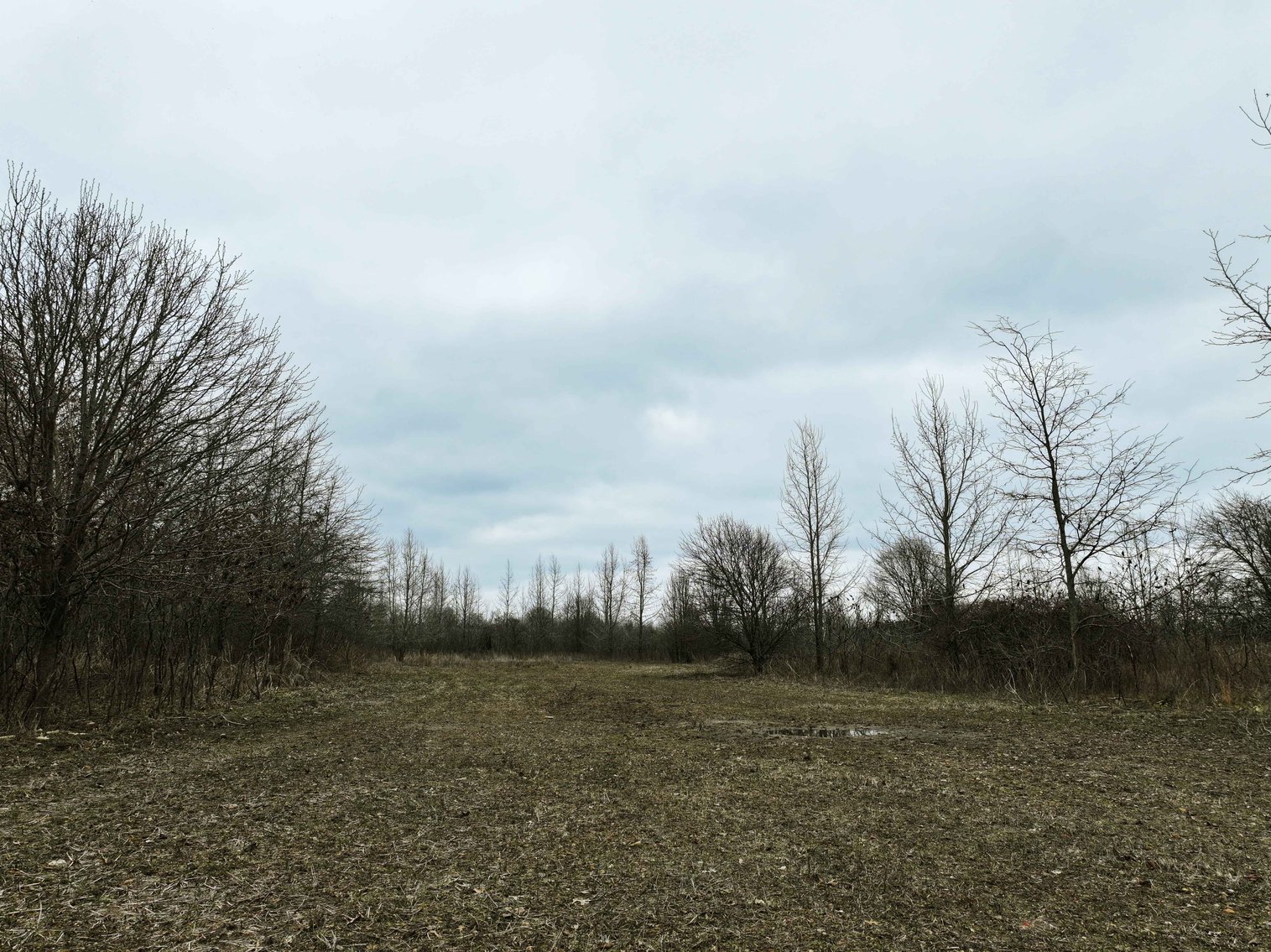 Image for 163.02 Acres +/-, County Line Road 832, Sikeston, MO 63801, MLS #25014302