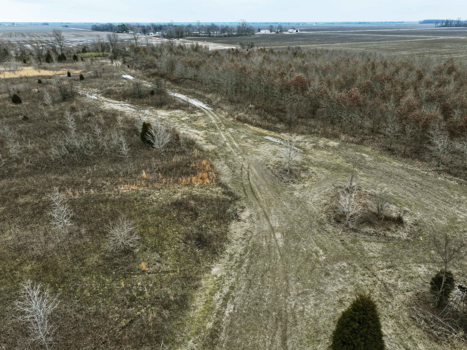 Image for 163.02 Acres +/-, County Line Road 832, Sikeston, MO 63801, MLS #25014302