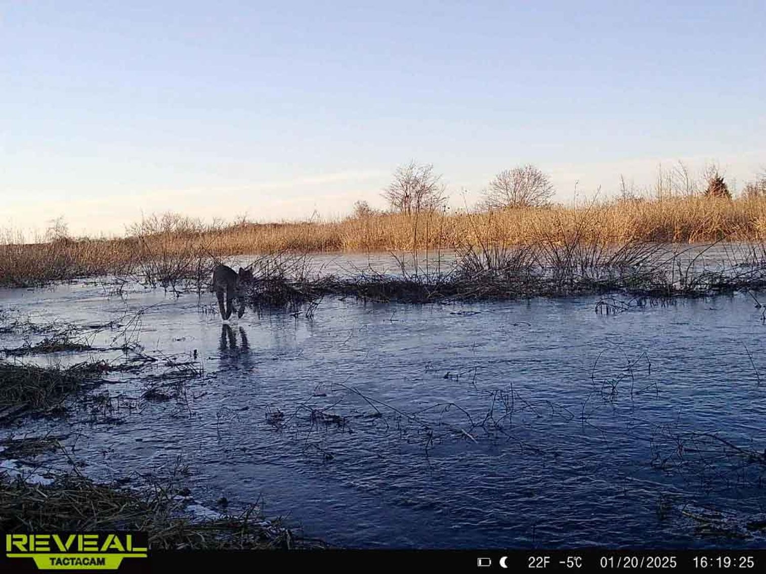 Image for 163.02 Acres +/-, County Line Road 832, Sikeston, MO 63801, MLS #25014302