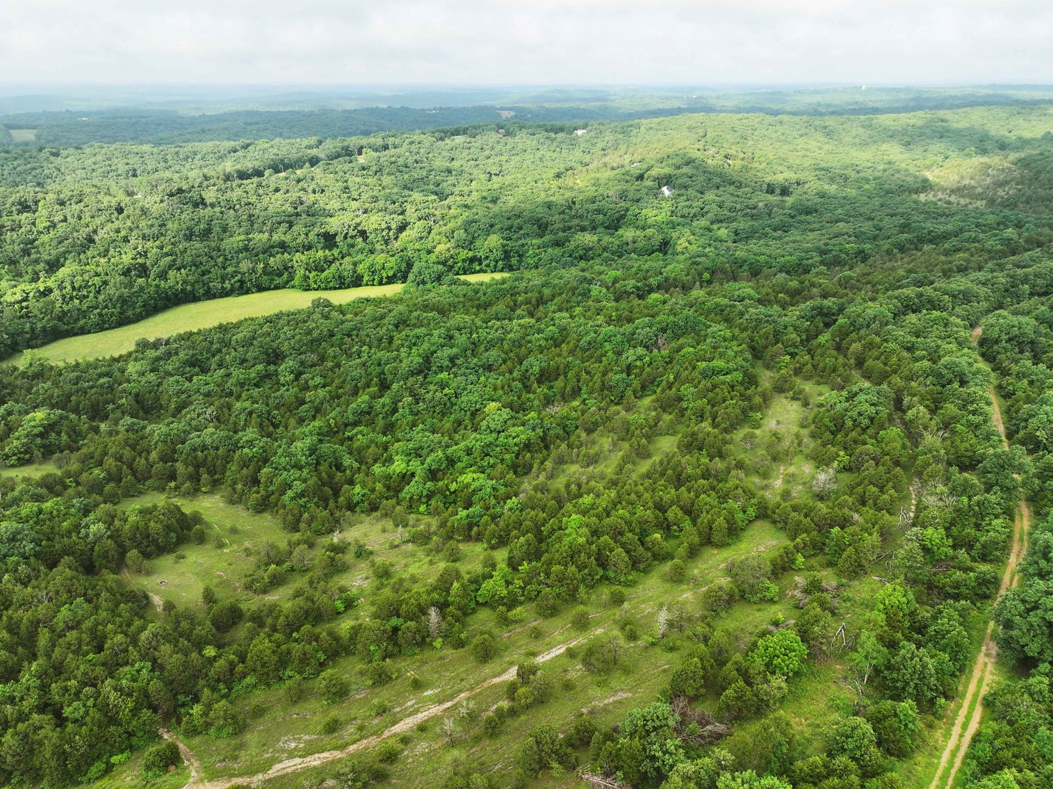 Image for 30.52 Acres, Tract 1 Plattin Rd Festus, MO 63028, MLS#25048992