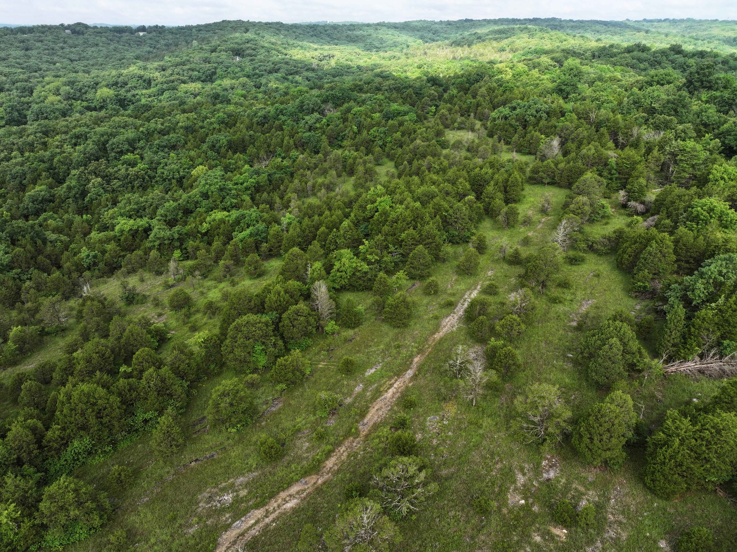 Image for 26.71 Acres, Tract 2 Plattin Rd Festus, MO 63028, MLS#25048995