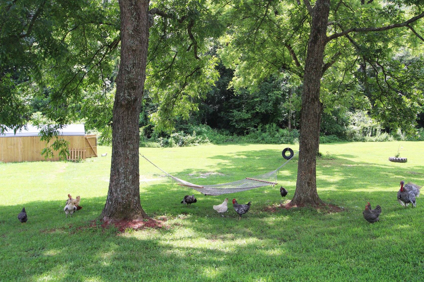 Image for 10755 BCR 418, Marble Hill MO 63764, 38 +/- Acres, MLS # 25049853
