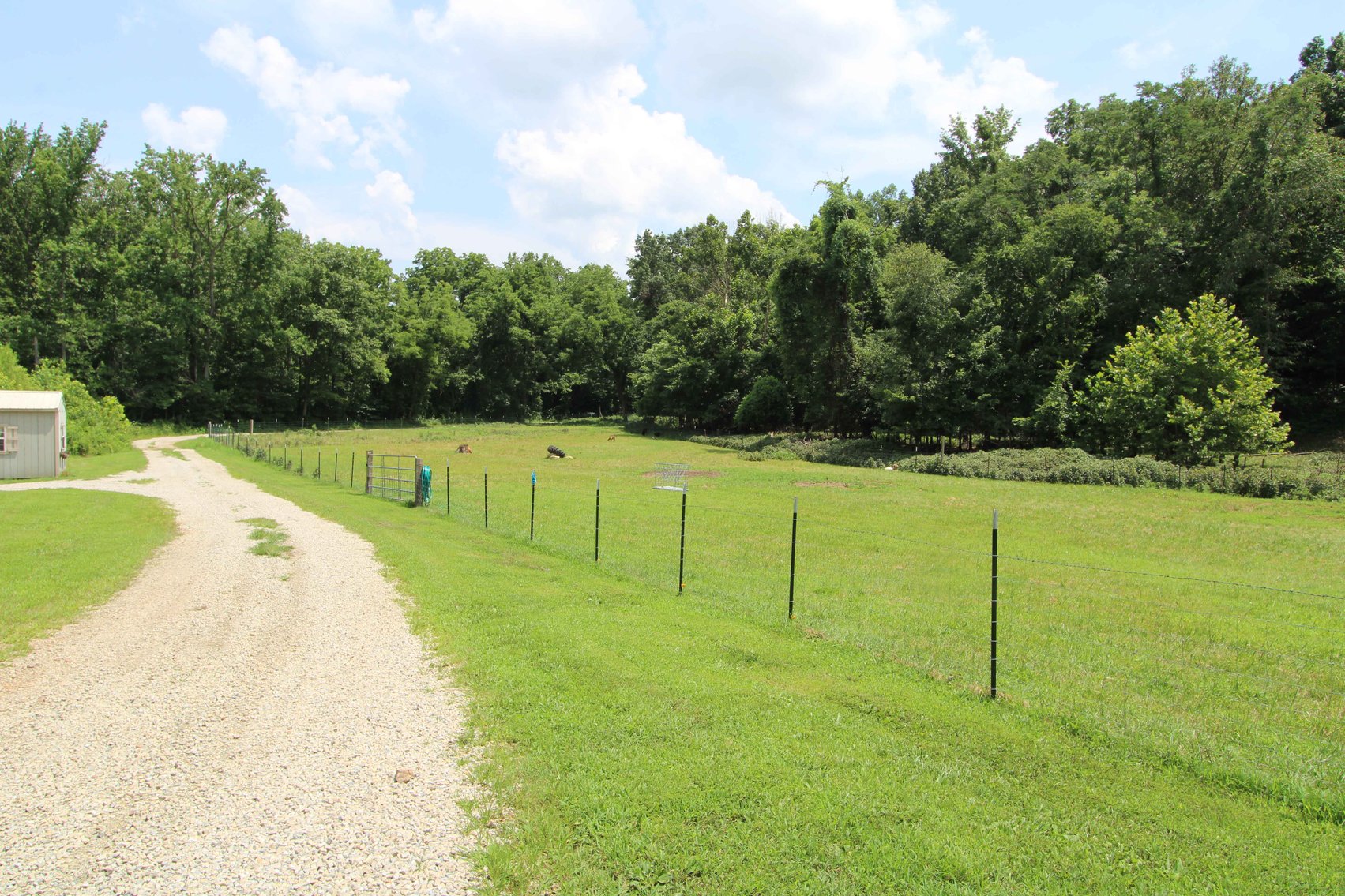 Image for 10755 BCR 418, Marble Hill MO 63764, 38 +/- Acres, MLS # 25049853
