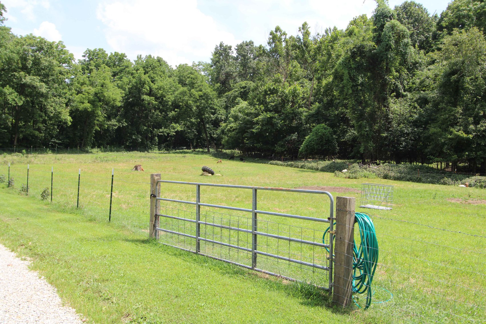 Image for 10755 BCR 418, Marble Hill MO 63764, 38 +/- Acres, MLS # 25049853