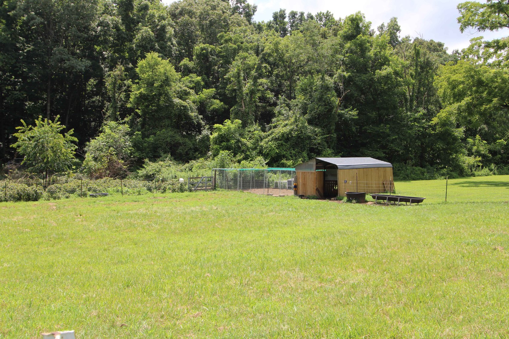 Image for 10755 BCR 418, Marble Hill MO 63764, 38 +/- Acres, MLS # 25049853