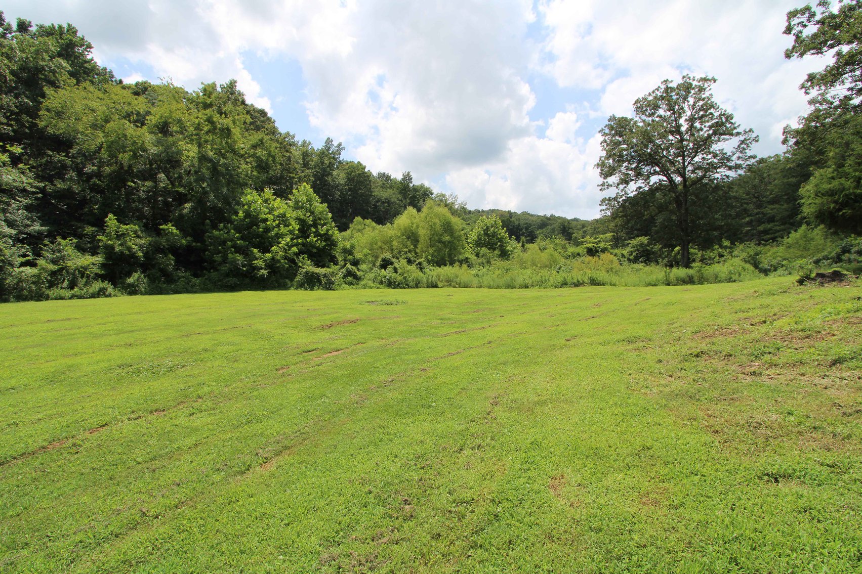 Image for 10755 BCR 418, Marble Hill MO 63764, 38 +/- Acres, MLS # 25049853
