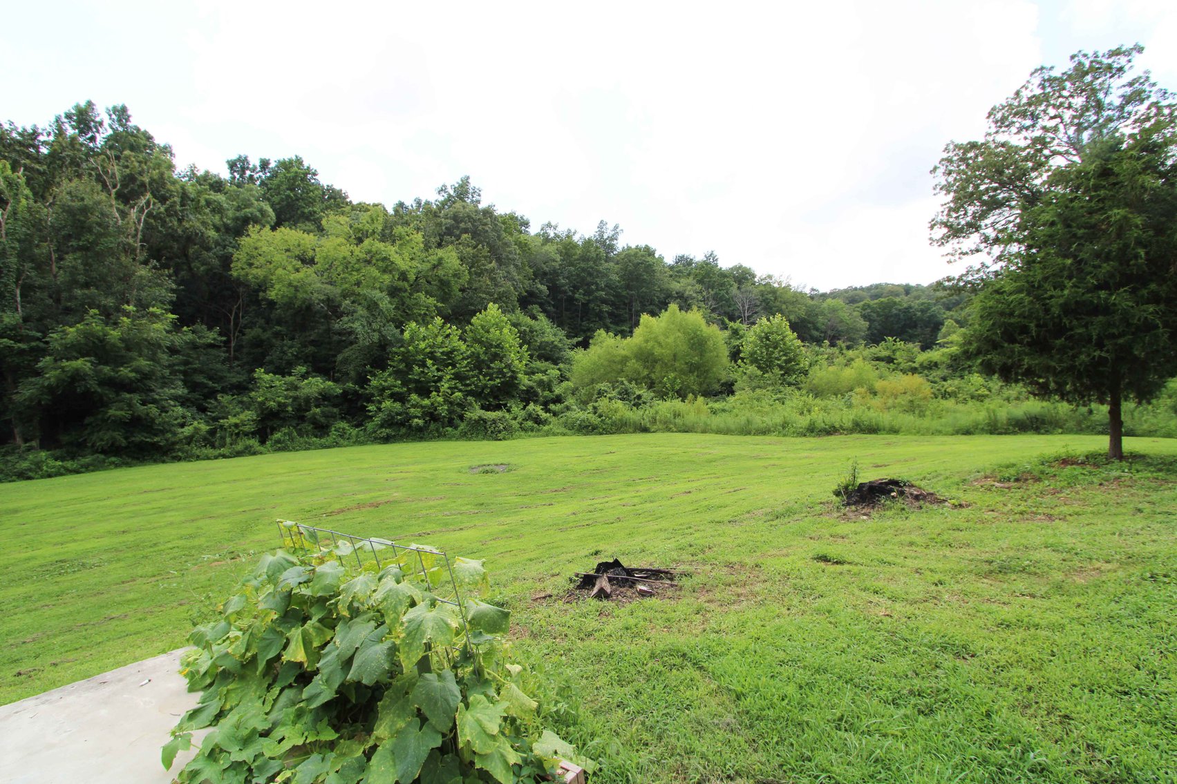 Image for 10755 BCR 418, Marble Hill MO 63764, 38 +/- Acres, MLS # 25049853