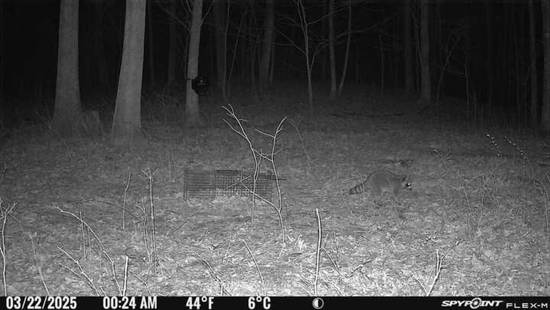 Image for 10755 BCR 418, Marble Hill MO 63764, 38 +/- Acres, MLS # 25049853