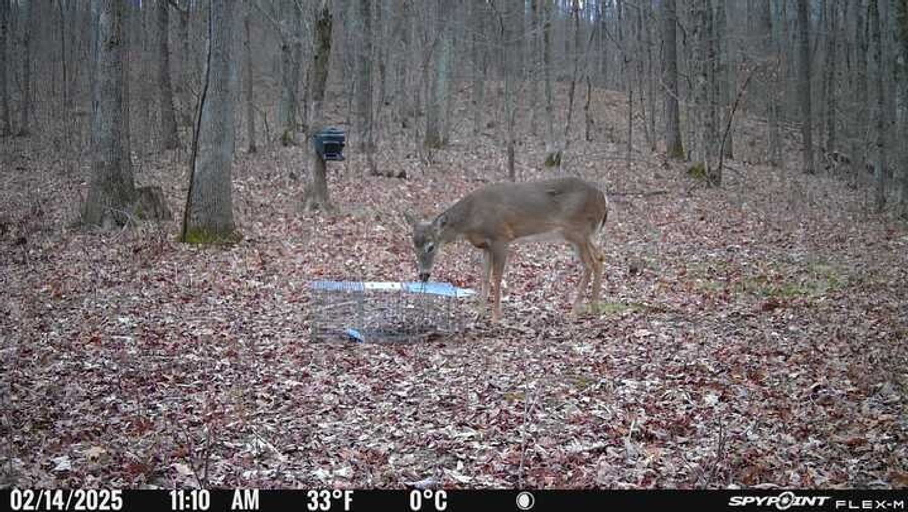 Image for 10755 BCR 418, Marble Hill MO 63764, 38 +/- Acres, MLS # 25049853