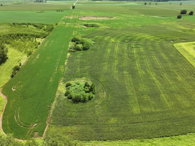 Image for 94.9 Acres M/L, County Road 102 Miami, MO 65344 MLS #25030753