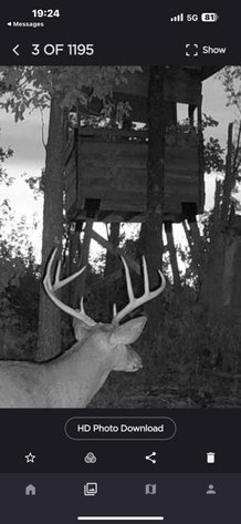 Image for 117.8 Acres +/-, Off Hwy F, Annapolis MO 63620, MLS # 25070582