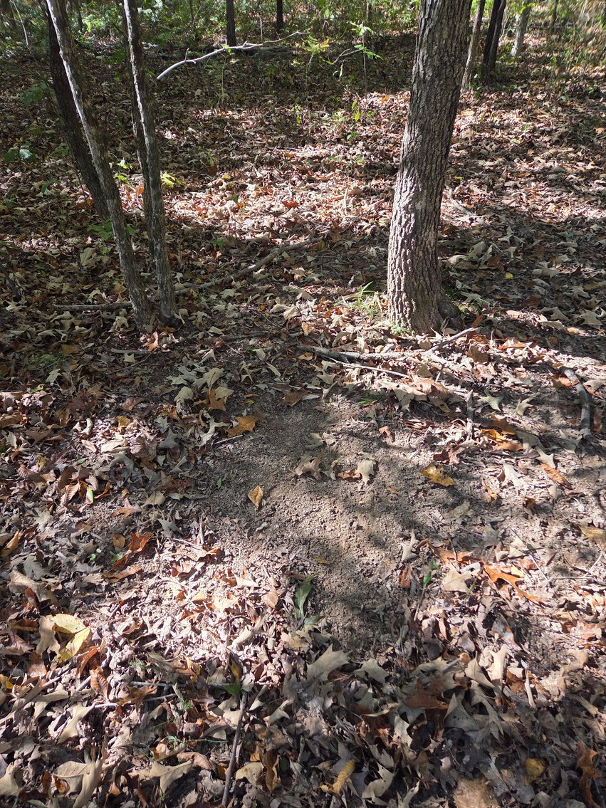 Image for 29.57 Ac +/- Off Hwy PP, Marble Hill MO 63764, MLS # 25071827