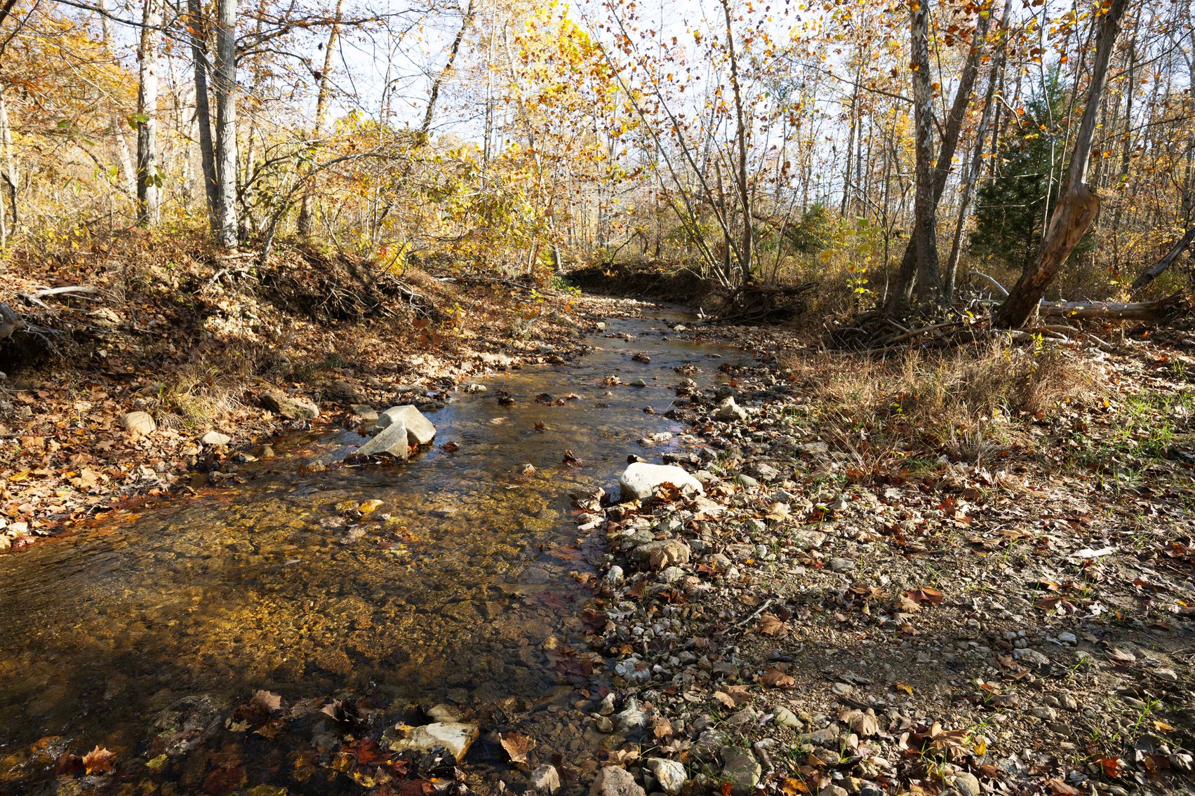 Image for 25.5 Acres +/-, Tract 1 Off BCR 930, Patton Missouri 63662, MLS #25075217