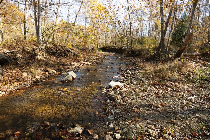 Image for 25.5 Acres +/-, Tract 1 Off BCR 930, Patton Missouri 63662, MLS #25075217