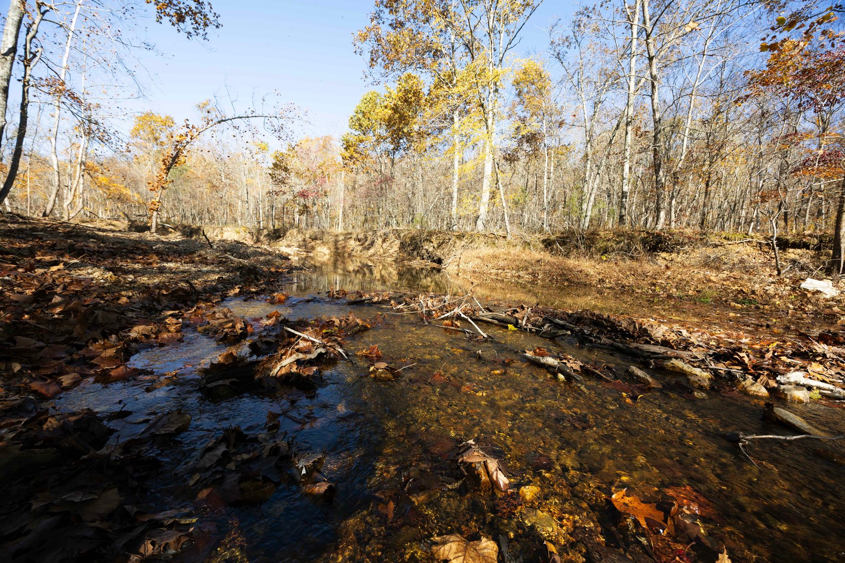 Image for 25.5 Acres +/-, Tract 1 Off BCR 930, Patton Missouri 63662, MLS #25075217